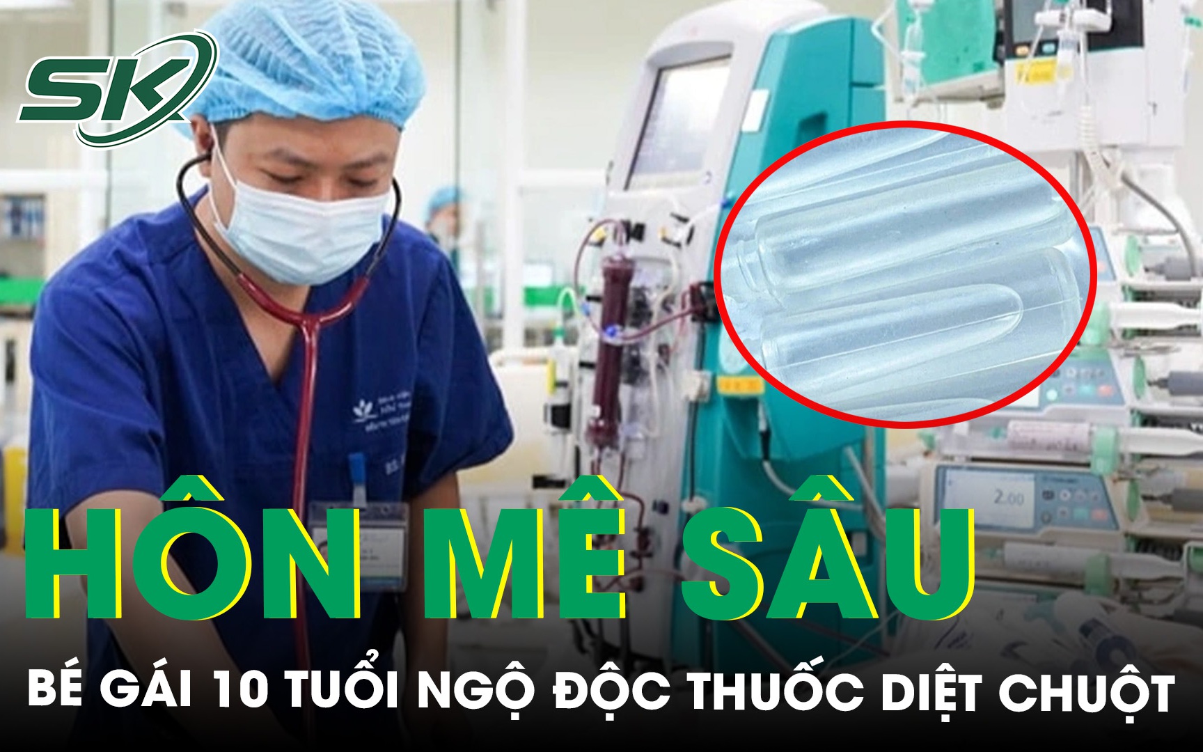 Bé gái bị hôn mê sau khi ăn ốc biển không rõ loại- Ảnh 2.