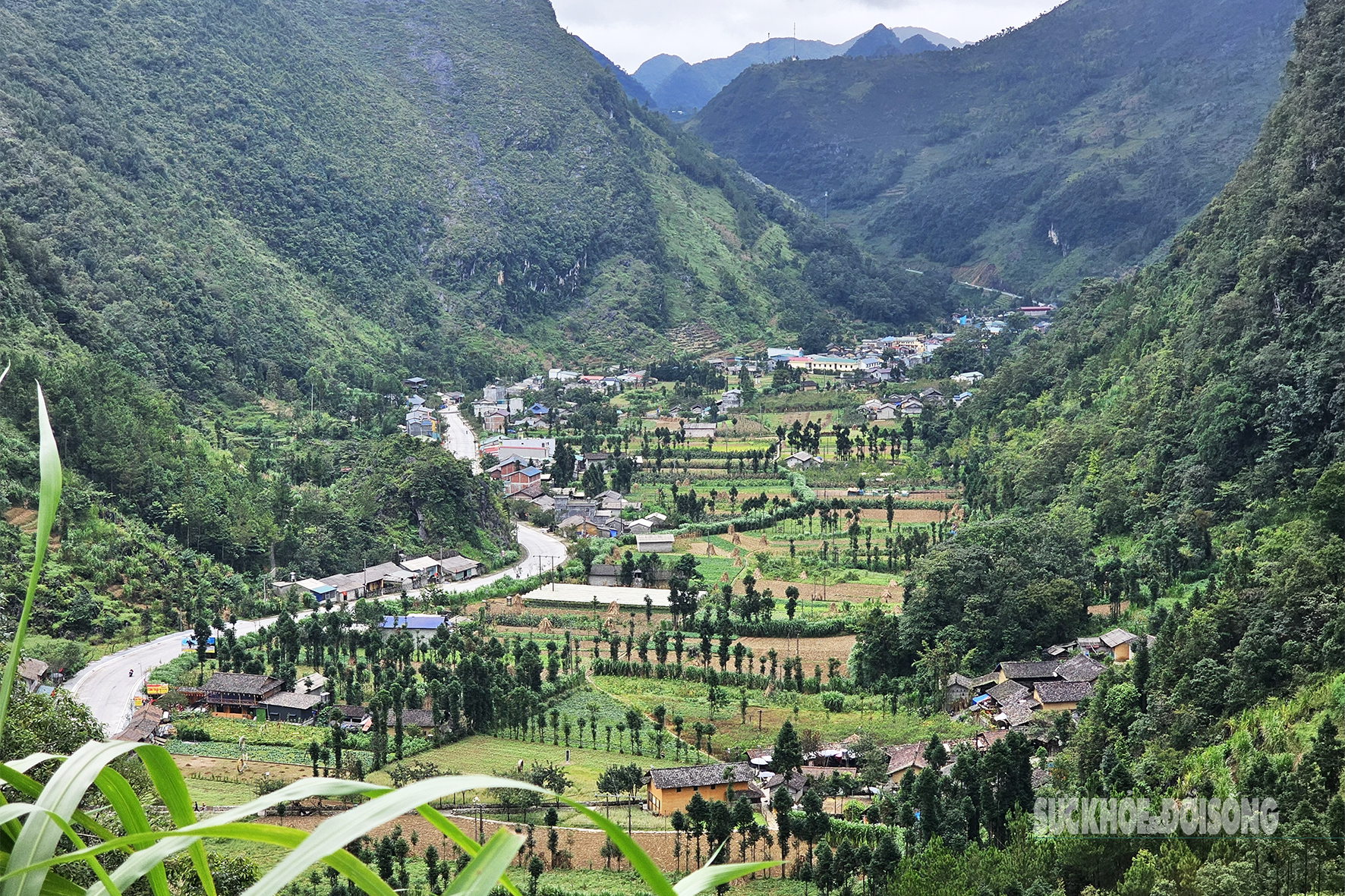 Nghề 'trai lai Tây’ giữa mây núi vùng cao cực Bắc- Ảnh 10. Nghề 'trai lai Tây’ giữa mây núi vùng cao cực Bắc- Ảnh 10.
