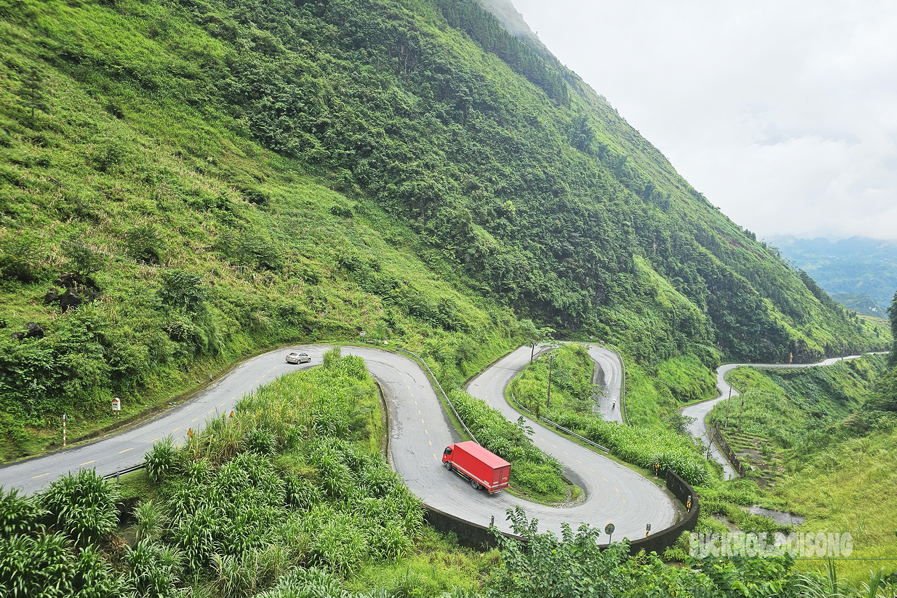 Nghề 'trai lai Tây’ giữa mây núi vùng cao cực Bắc- Ảnh 1. Nghề 'trai lai Tây’ giữa mây núi vùng cao cực Bắc- Ảnh 1.