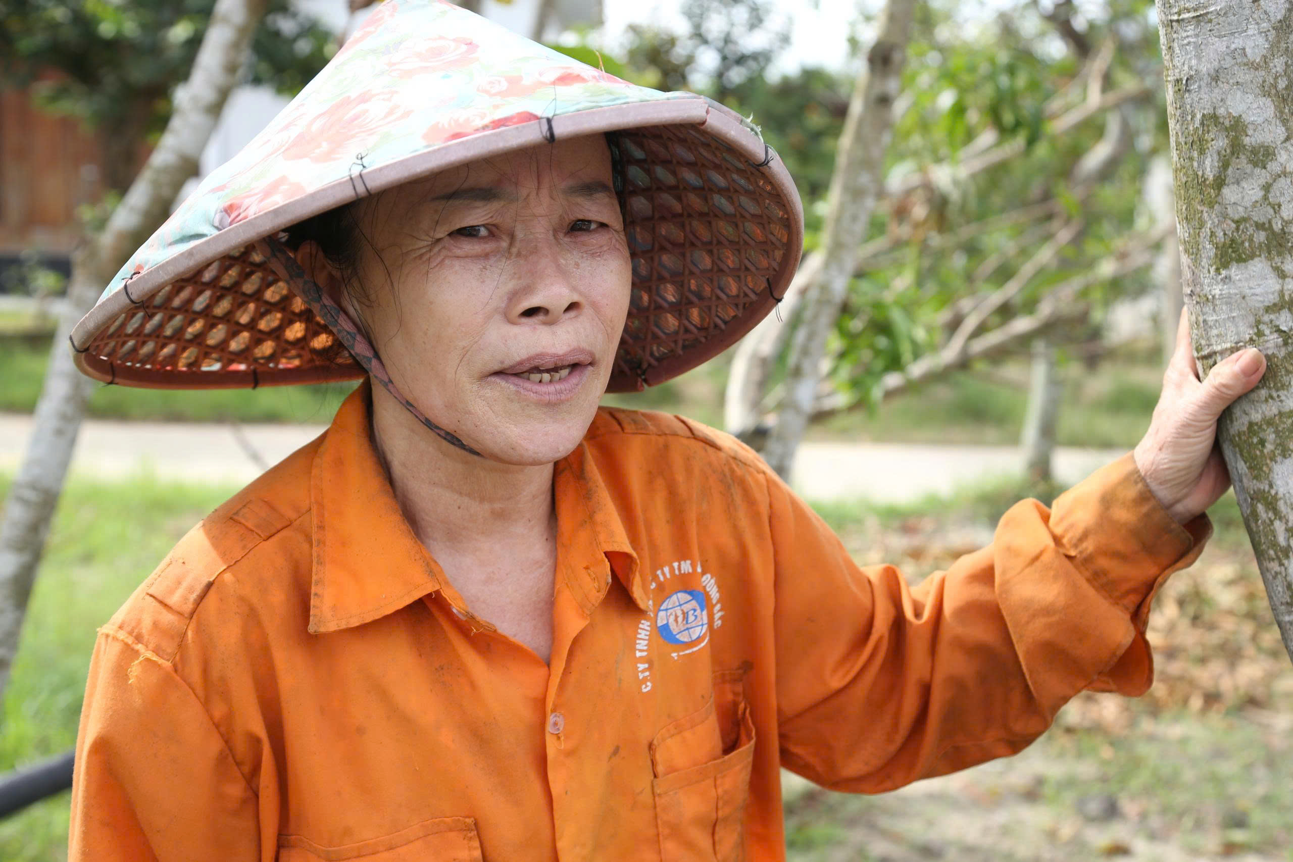 Cây chết khô sau bão, người dân làng cây cảnh ở Nghệ An lo mất Tết- Ảnh 2. Cây chết khô sau bão, người dân làng cây cảnh ở Nghệ An lo mất Tết- Ảnh 2.