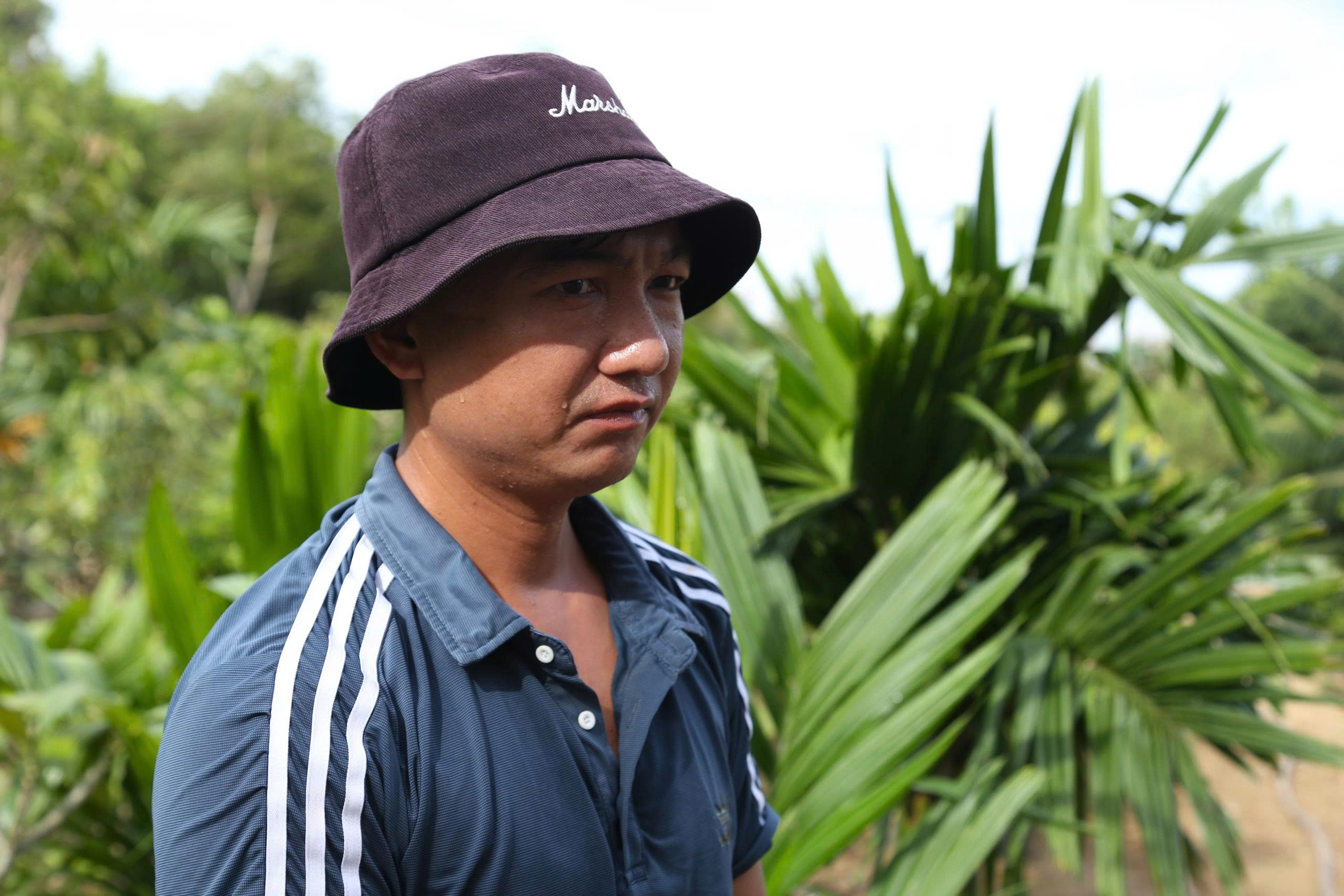 Cây chết khô sau bão, người dân làng cây cảnh ở Nghệ An lo mất Tết- Ảnh 8. Cây chết khô sau bão, người dân làng cây cảnh ở Nghệ An lo mất Tết- Ảnh 8.