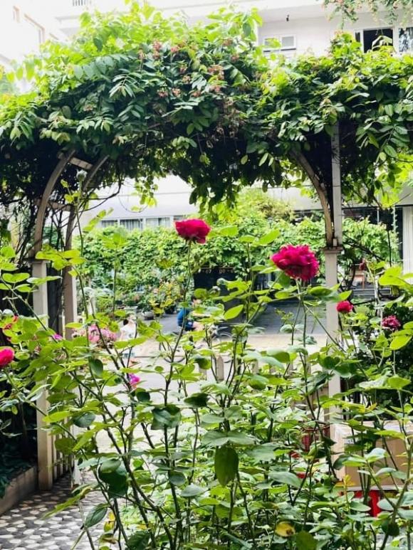 Mẹ Trung úy Quang trong 'Mưa đỏ' ngoài đời có cơ ngơi 4 tầng cực xinh- Ảnh 5. Mẹ Trung úy Quang trong 'Mưa đỏ' ngoài đời có cơ ngơi 4 tầng cực xinh- Ảnh 5.