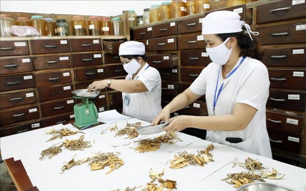 Bệnh cơ xương khớp trẻ hoá, chất lượng cuộc sống người mắc ảnh hưởng nghiêm trọng- Ảnh 5.