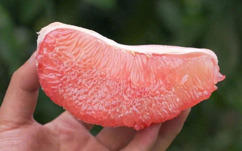 7 lợi ích sức khỏe của quả bưởi ít người biết- Ảnh 3.