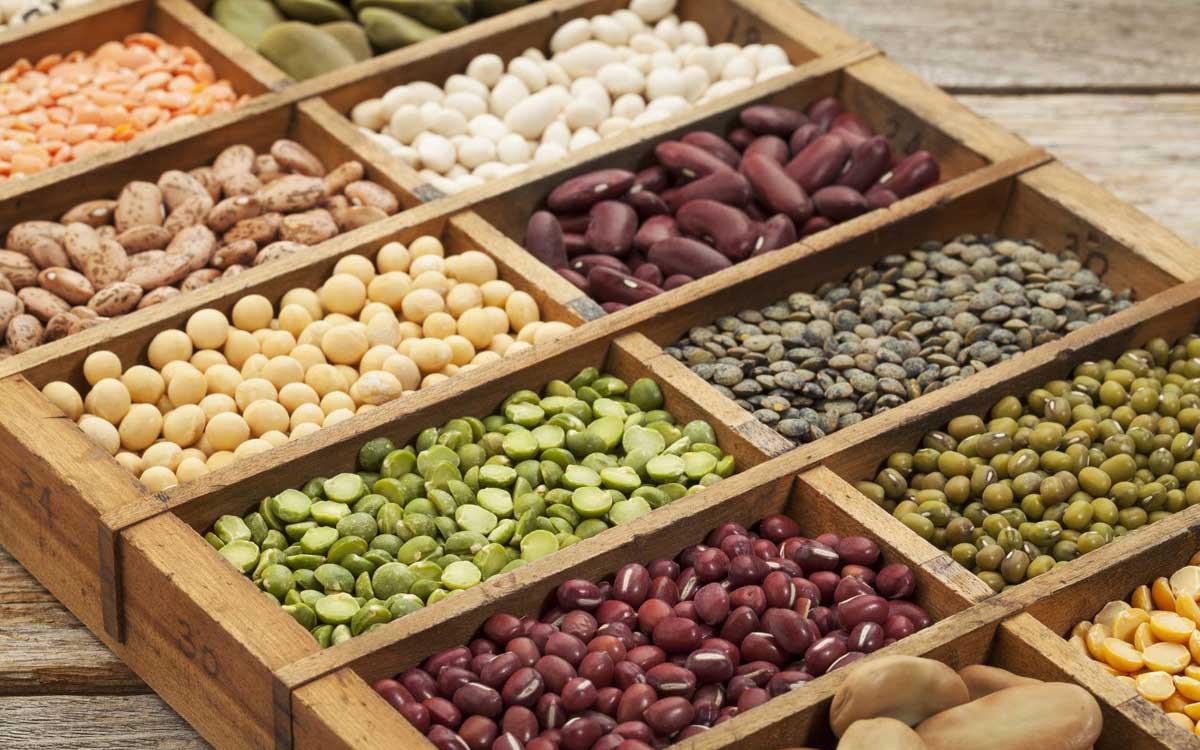 Lý do người bệnh gout cần hạn chế các loại đậu giàu purin