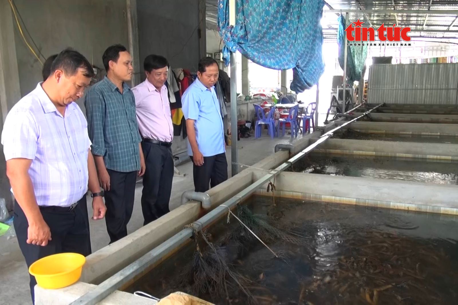Mô hình nuôi lươn không bùn đem lại hiệu quả kinh tế cao ở Cần Thơ- Ảnh 8.
