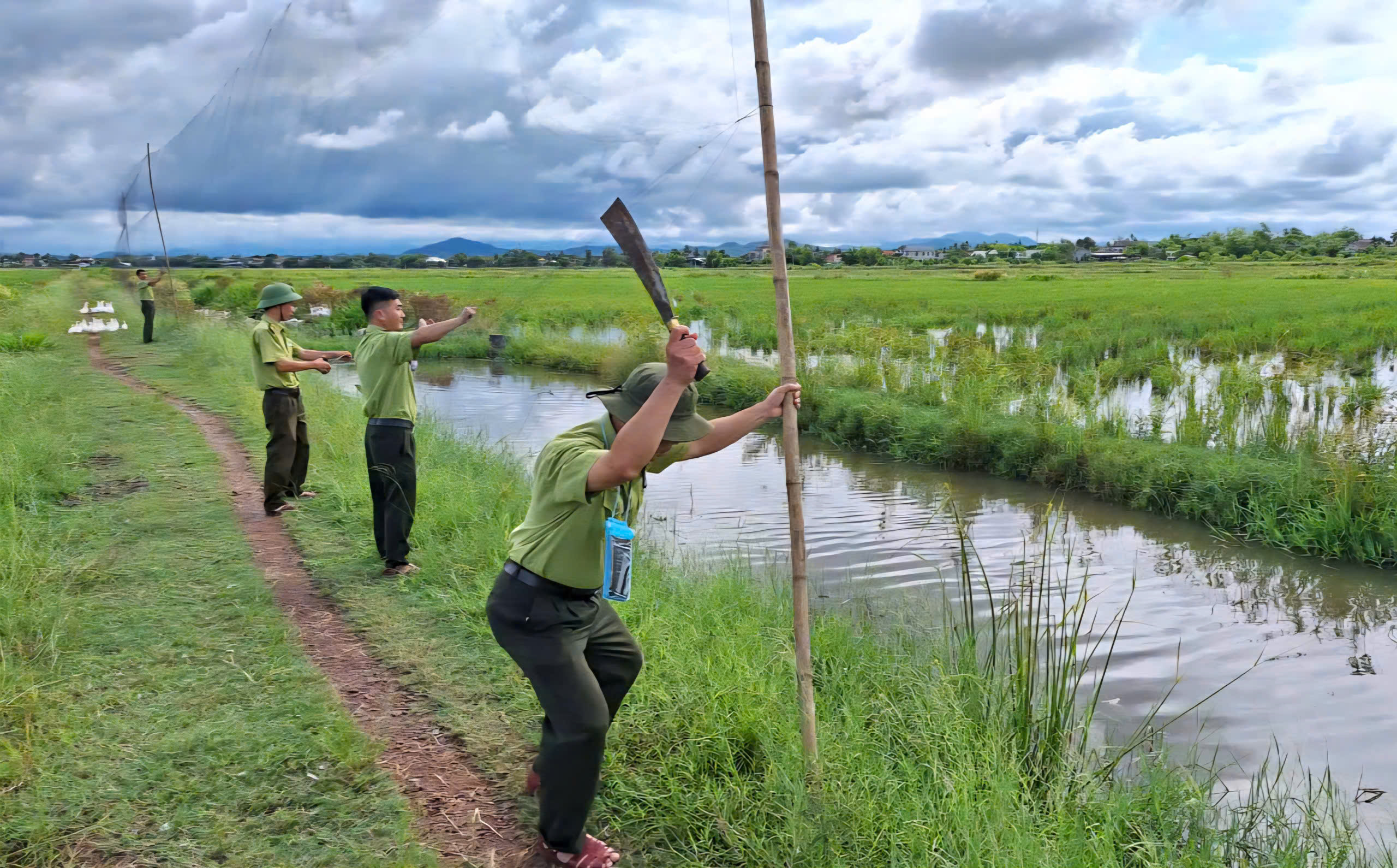 Tháo dỡ 'thiên la địa võng', bảo vệ chim hoang dã mùa di cư- Ảnh 6. Tháo dỡ 'thiên la địa võng', bảo vệ chim hoang dã mùa di cư- Ảnh 6.