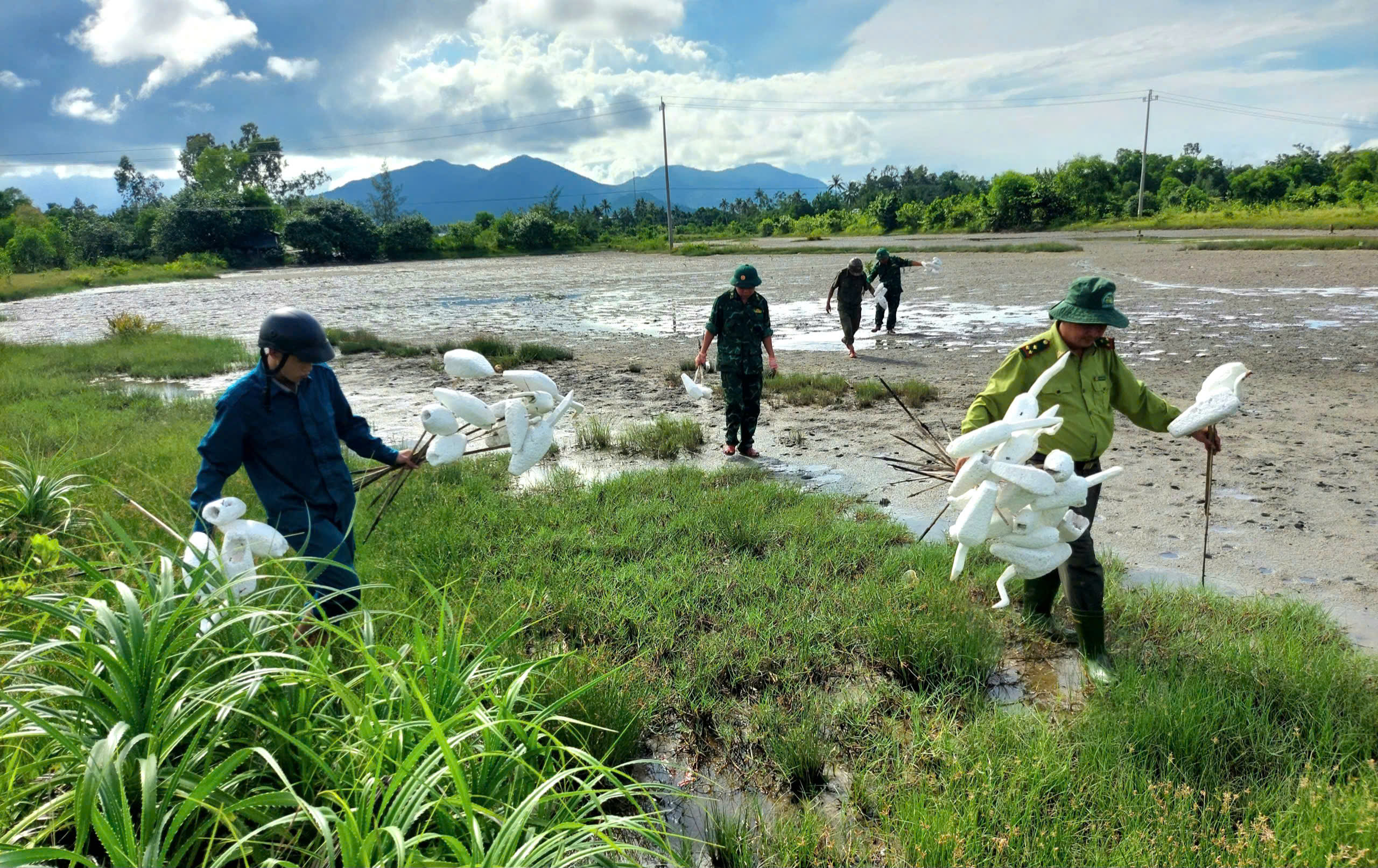 Tháo dỡ 'thiên la địa võng', bảo vệ chim hoang dã mùa di cư- Ảnh 7. Tháo dỡ 'thiên la địa võng', bảo vệ chim hoang dã mùa di cư- Ảnh 7.