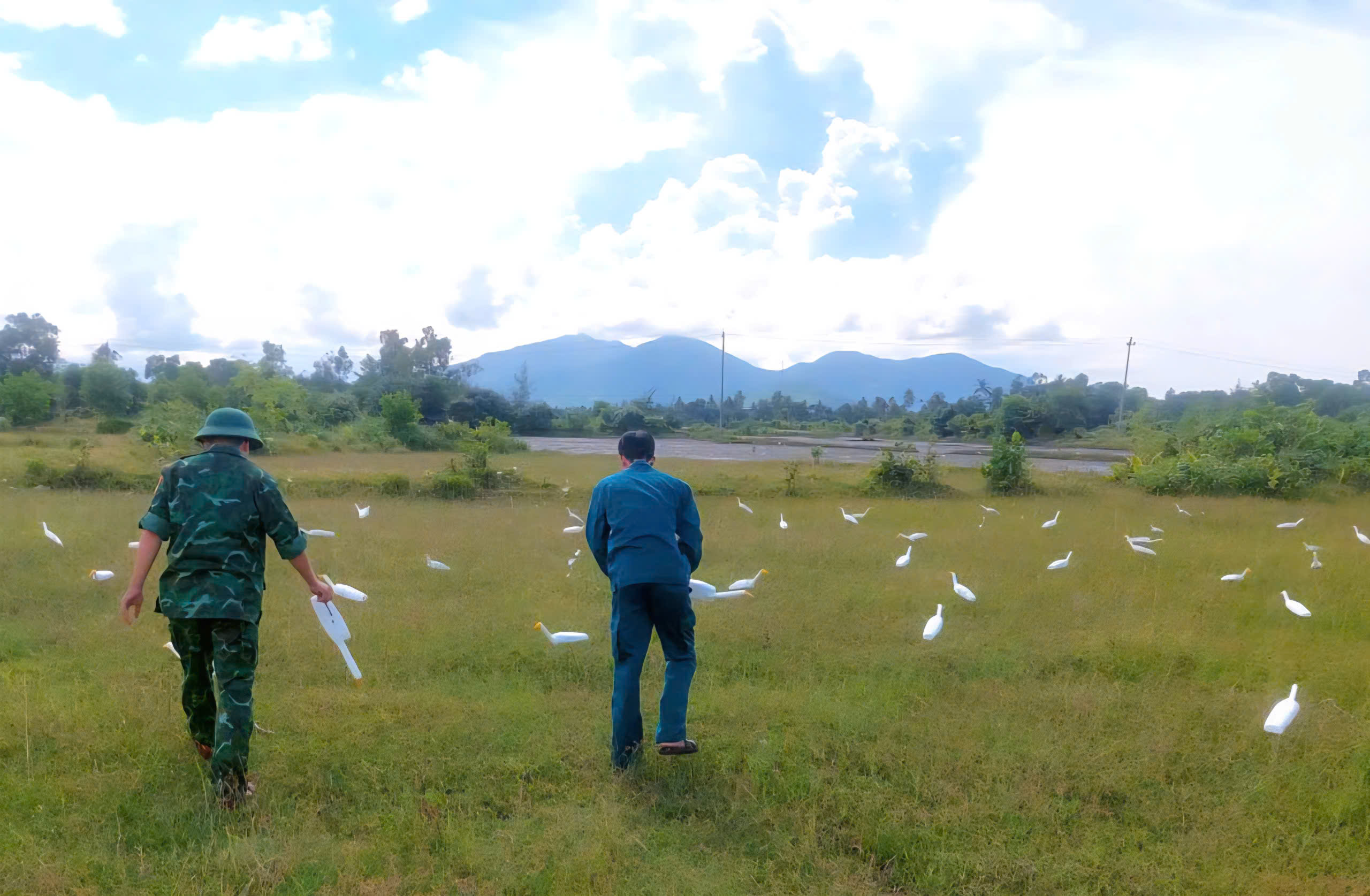 Tháo dỡ 'thiên la địa võng', bảo vệ chim hoang dã mùa di cư- Ảnh 10. Tháo dỡ 'thiên la địa võng', bảo vệ chim hoang dã mùa di cư- Ảnh 10.
