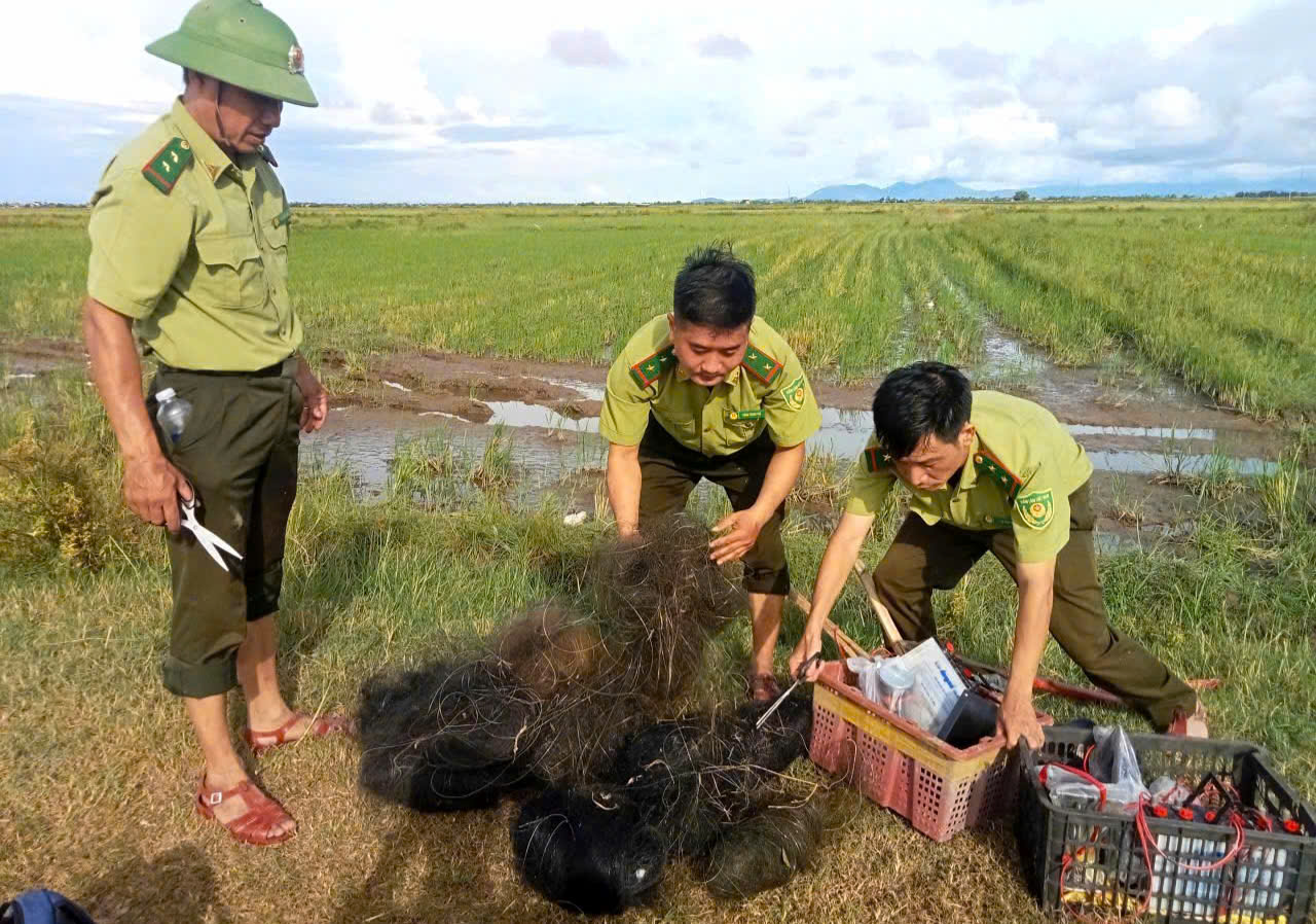 Tháo dỡ 'thiên la địa võng', bảo vệ chim hoang dã mùa di cư- Ảnh 5. Tháo dỡ 'thiên la địa võng', bảo vệ chim hoang dã mùa di cư- Ảnh 5.