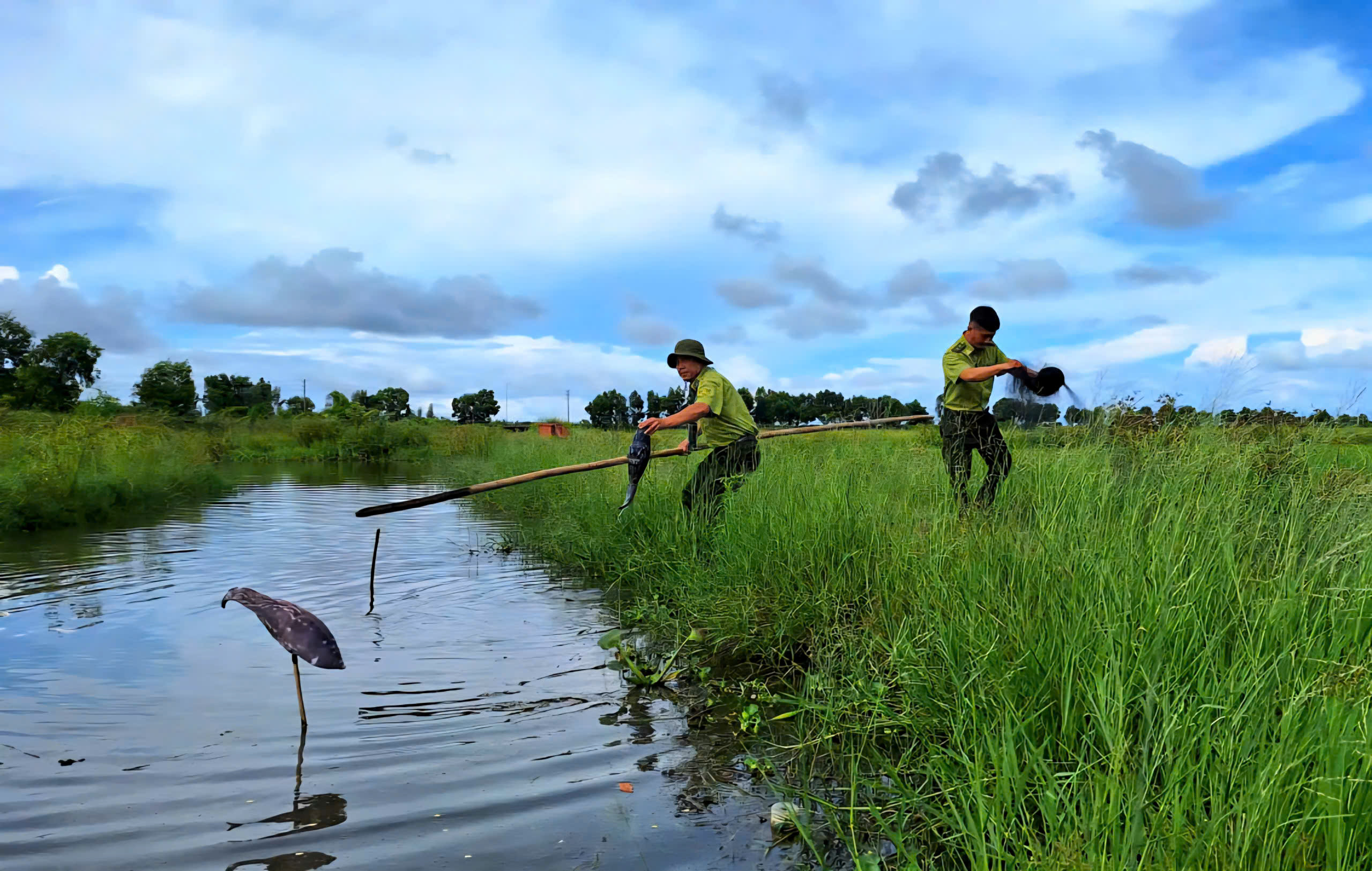 Tháo dỡ 'thiên la địa võng', bảo vệ chim hoang dã mùa di cư- Ảnh 11. Tháo dỡ 'thiên la địa võng', bảo vệ chim hoang dã mùa di cư- Ảnh 11.