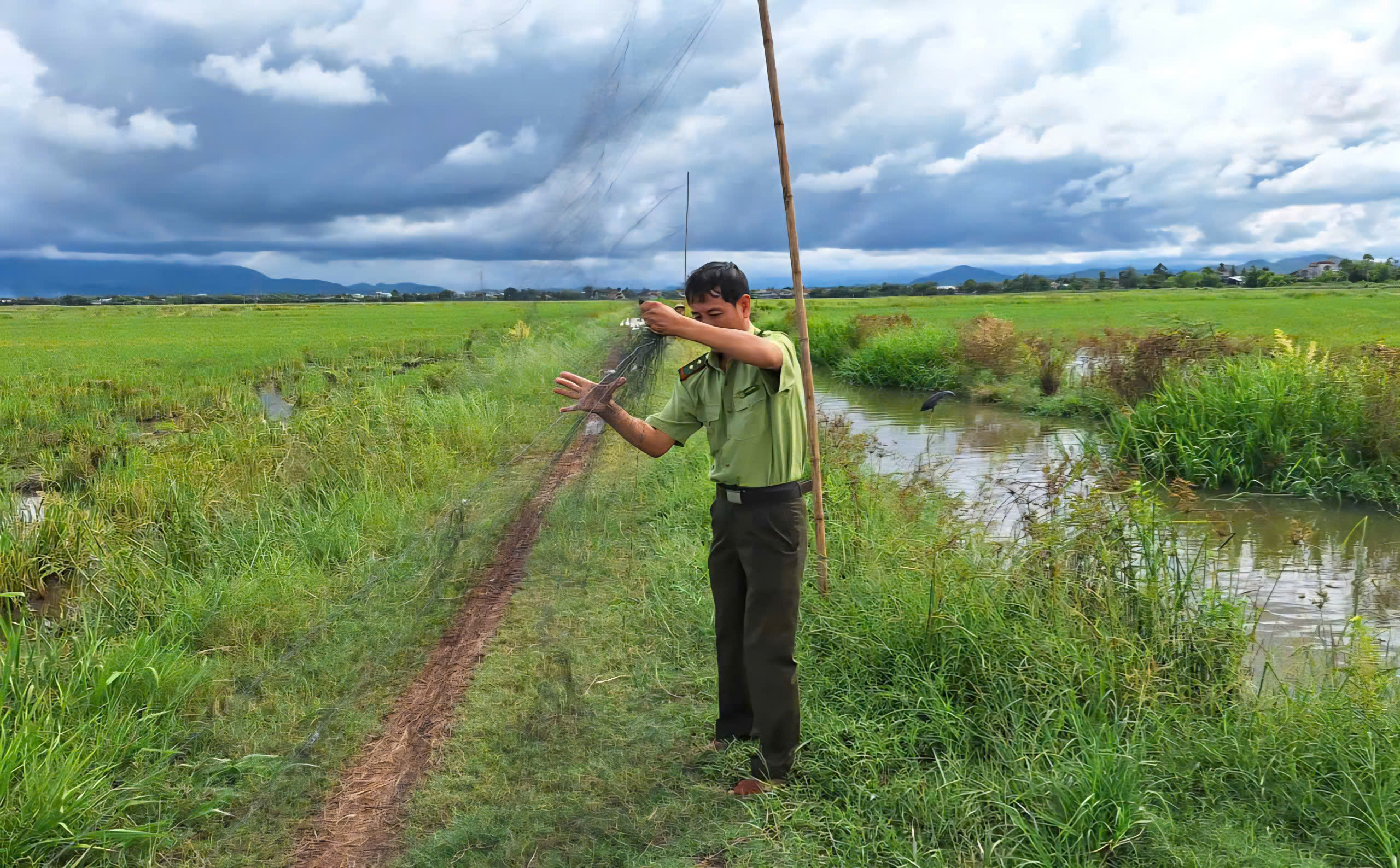 Tháo dỡ 'thiên la địa võng', bảo vệ chim hoang dã mùa di cư- Ảnh 4. Tháo dỡ 'thiên la địa võng', bảo vệ chim hoang dã mùa di cư- Ảnh 4.