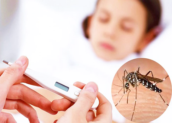 Hà Nội vừa ghi nhận thêm 8 ổ dịch sốt xuất huyết, cần chủ động phòng chống bệnh- Ảnh 1. Hà Nội vừa ghi nhận thêm 8 ổ dịch sốt xuất huyết, cần chủ động phòng chống bệnh- Ảnh 1.