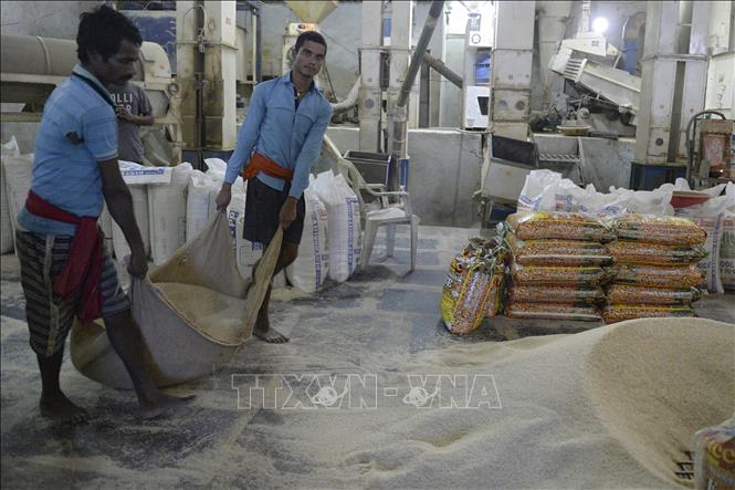 Thị trường nông sản: Giá gạo xuất khẩu và nội địa diễn biến trái chiều- Ảnh 2. Thị trường nông sản: Giá gạo xuất khẩu và nội địa diễn biến trái chiều- Ảnh 2.