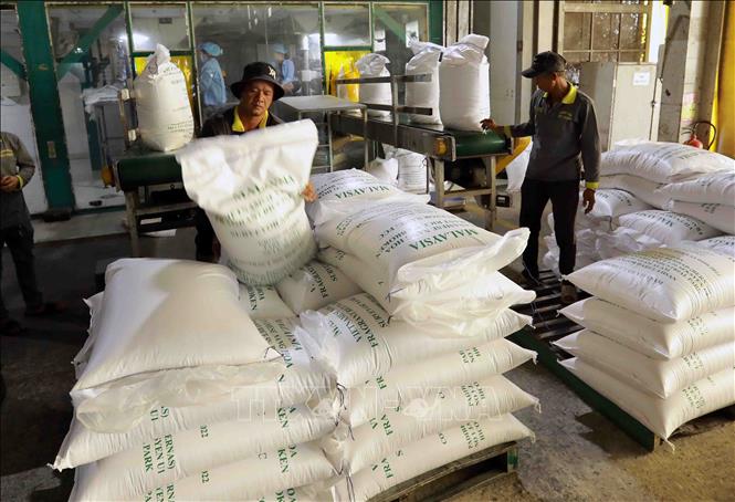 Thị trường nông sản: Giá gạo xuất khẩu và nội địa diễn biến trái chiều- Ảnh 1. Thị trường nông sản: Giá gạo xuất khẩu và nội địa diễn biến trái chiều- Ảnh 1.
