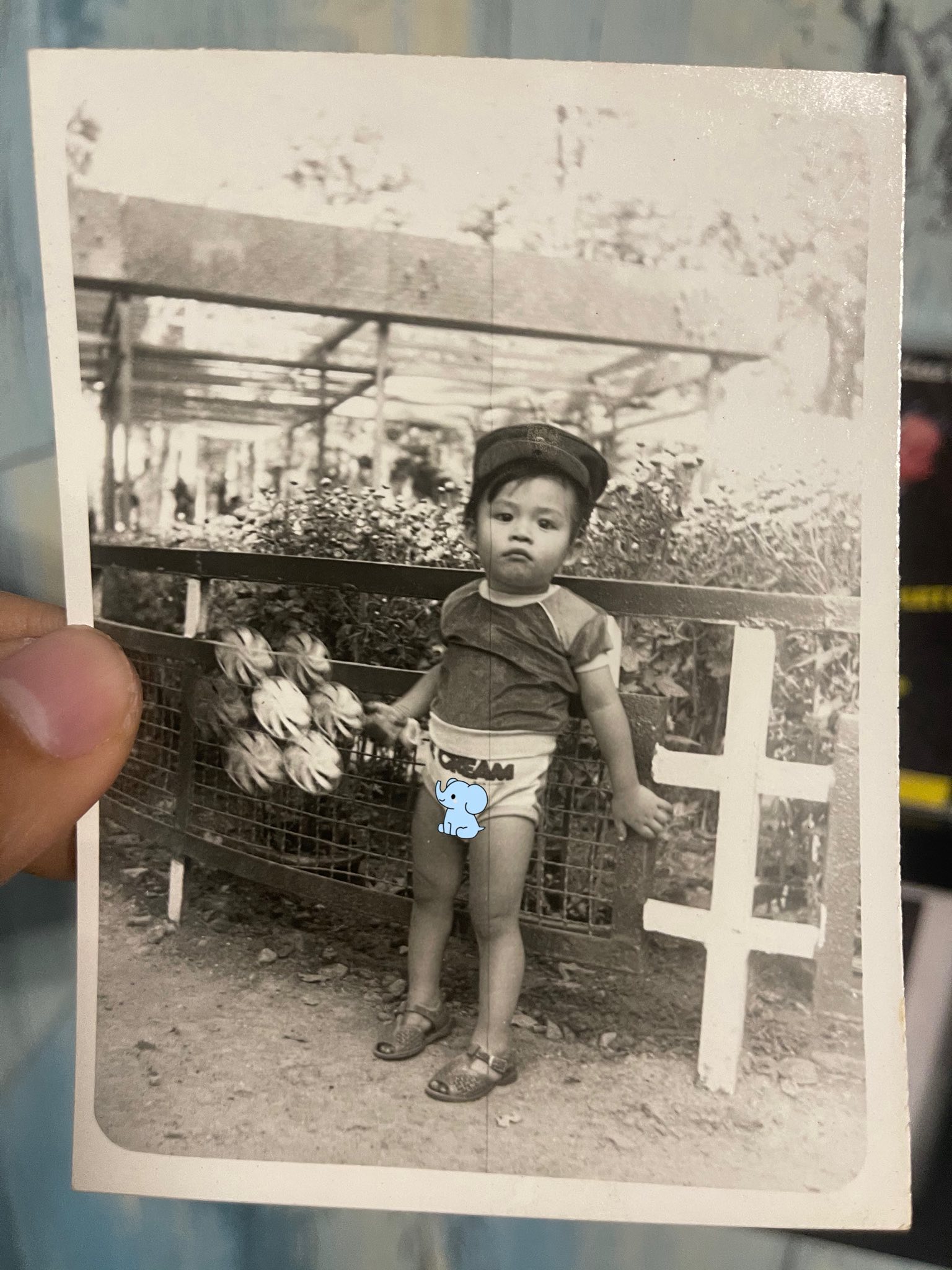 Hé lộ gia cảnh nhạc sĩ Nguyễn Văn Chung qua những hình ảnh thời thơ ấu- Ảnh 2.