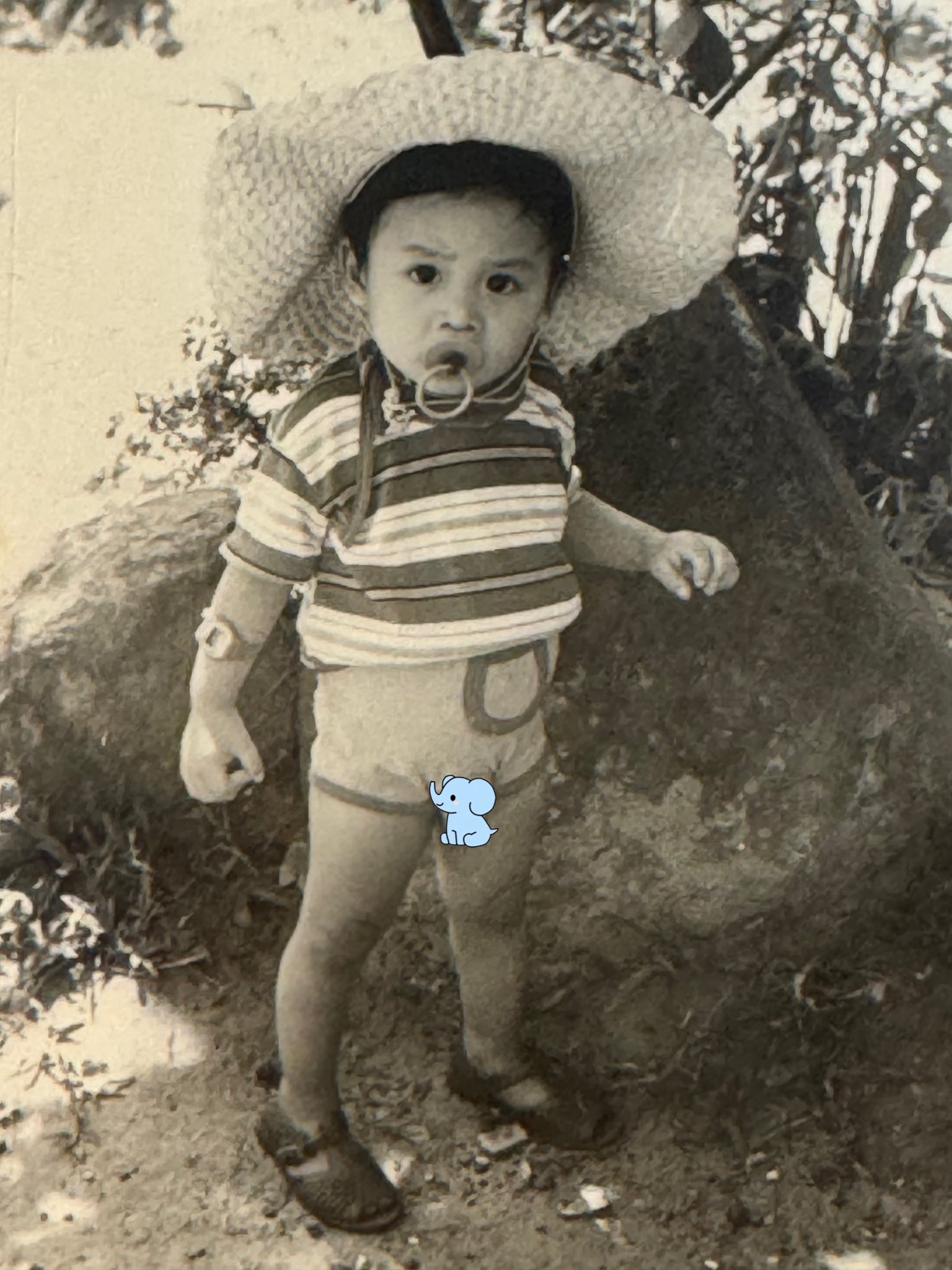 Hé lộ gia cảnh nhạc sĩ Nguyễn Văn Chung qua những hình ảnh thời thơ ấu- Ảnh 3.