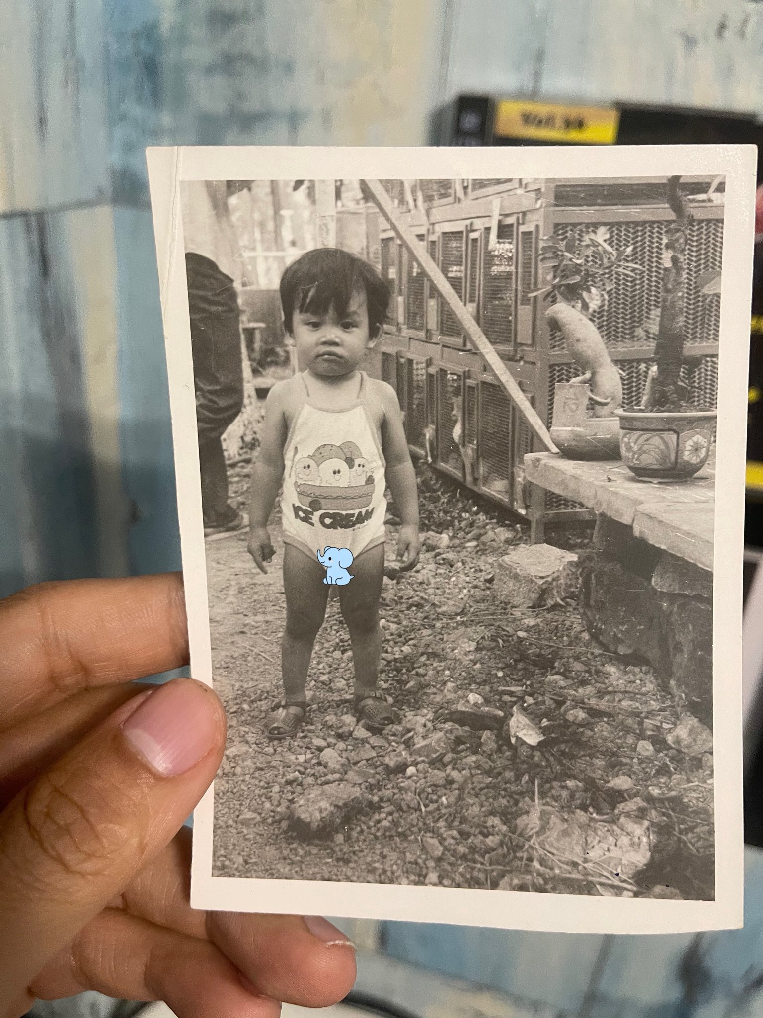 Hé lộ gia cảnh nhạc sĩ Nguyễn Văn Chung qua những hình ảnh thời thơ ấu- Ảnh 4.