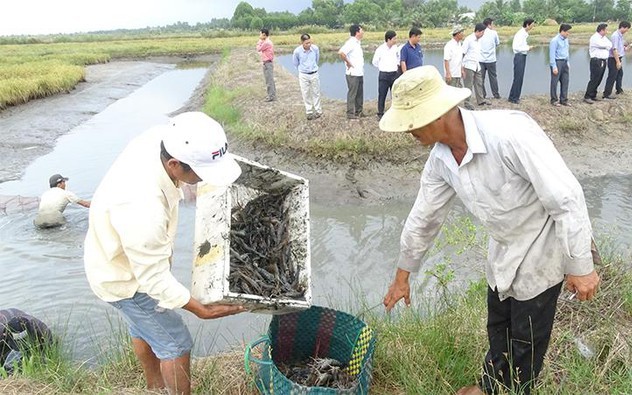 Quảng Ninh: Lan tỏa phong trào xóa nghèo, nâng cao chất lượng sống- Ảnh 3.