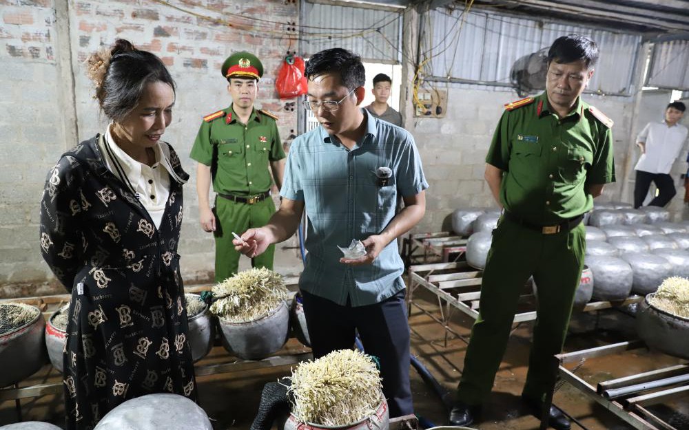 Dùng chất cấm để sản xuất giá đỗ