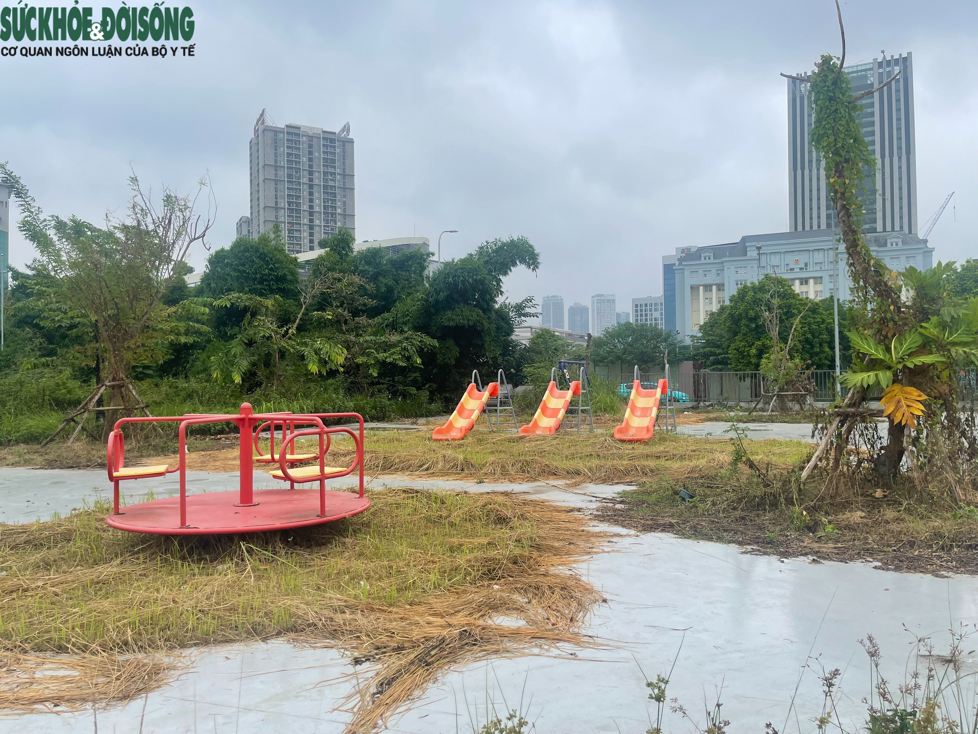 Cỏ dại mọc um tùm tại công viên, hồ điều hòa hơn 700 tỷ đồng ở Hà Nội- Ảnh 1.