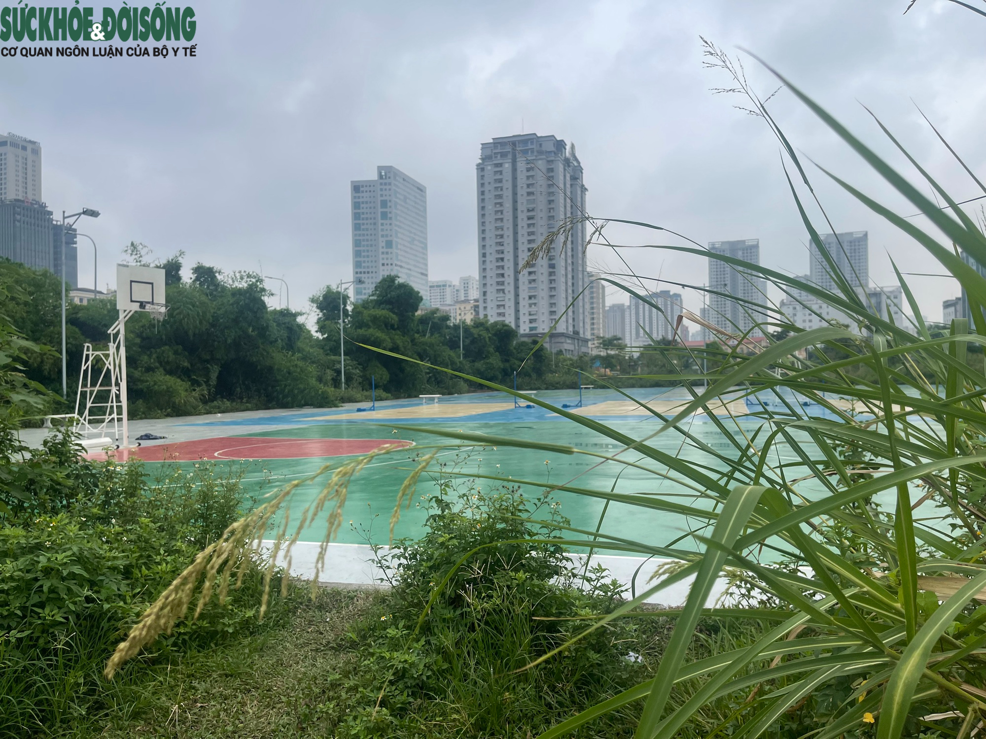 Cỏ dại mọc um tùm tại công viên, hồ điều hòa hơn 700 tỷ đồng ở Hà Nội- Ảnh 2.