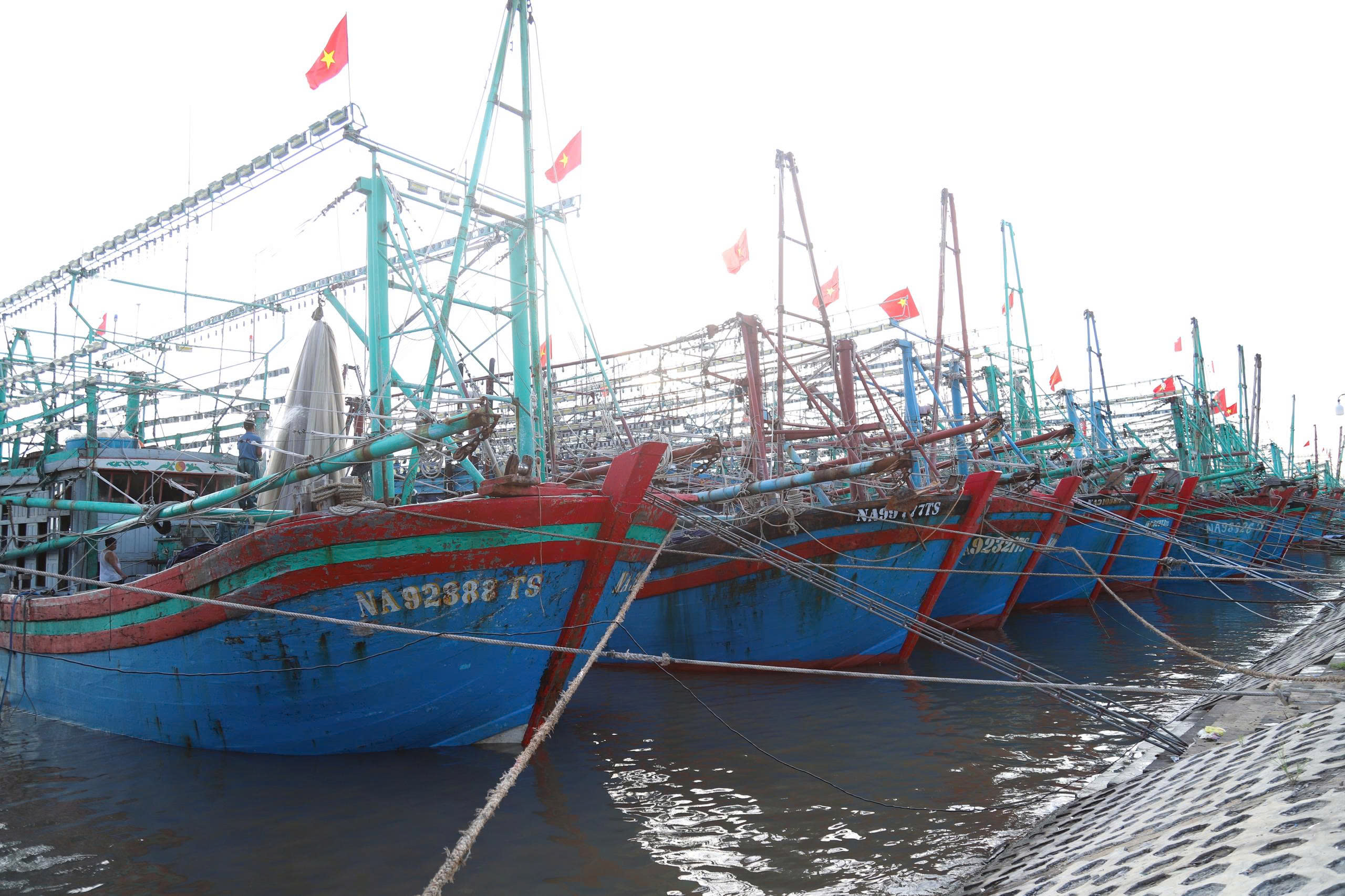Các tỉnh Bắc Trung Bộ chủ động ứng phó bão Bualoi- Ảnh 1.