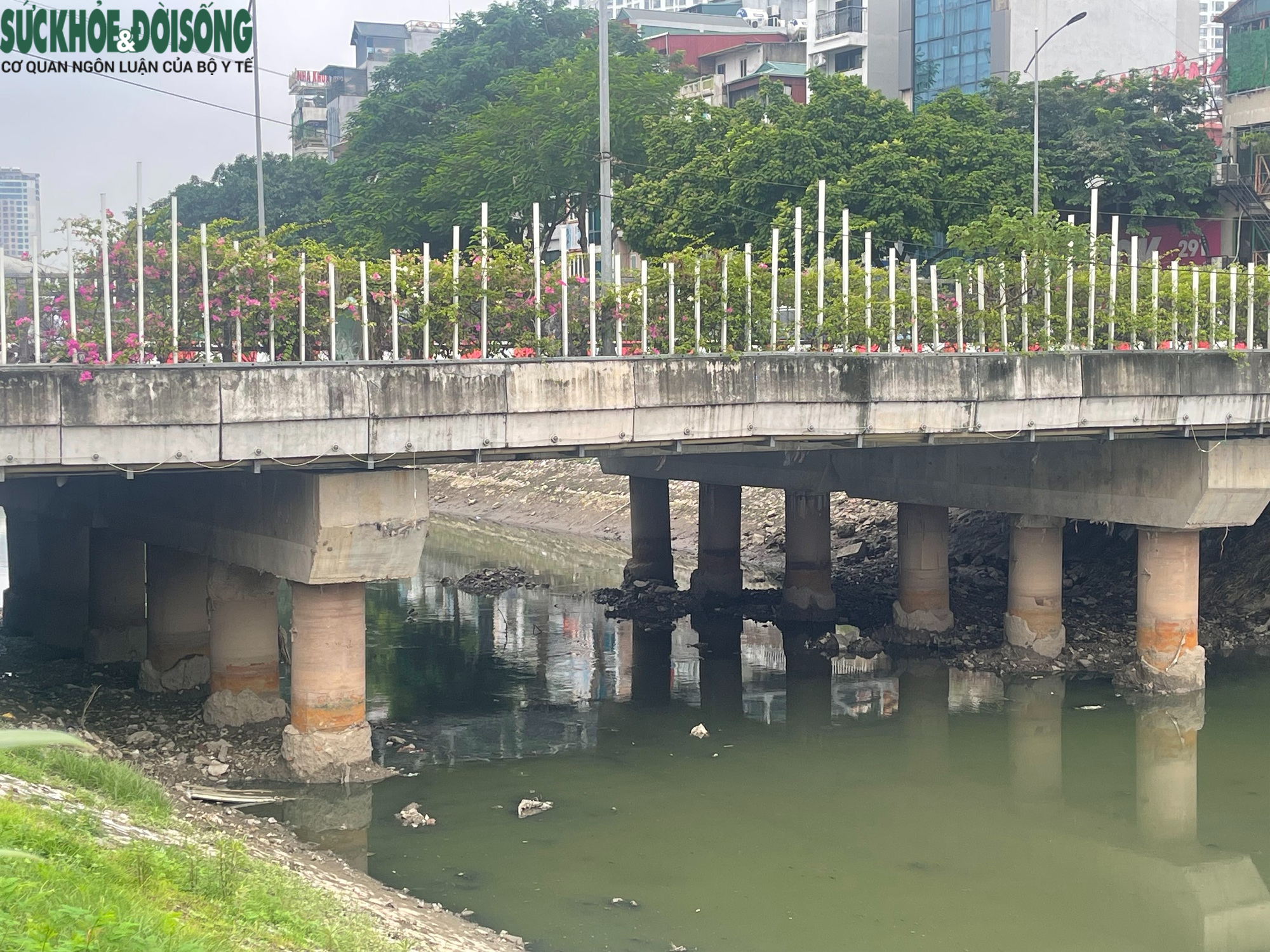 Vì sao nhiều đoạn sông Tô Lịch bất ngờ cạn trơ đáy?- Ảnh 4.