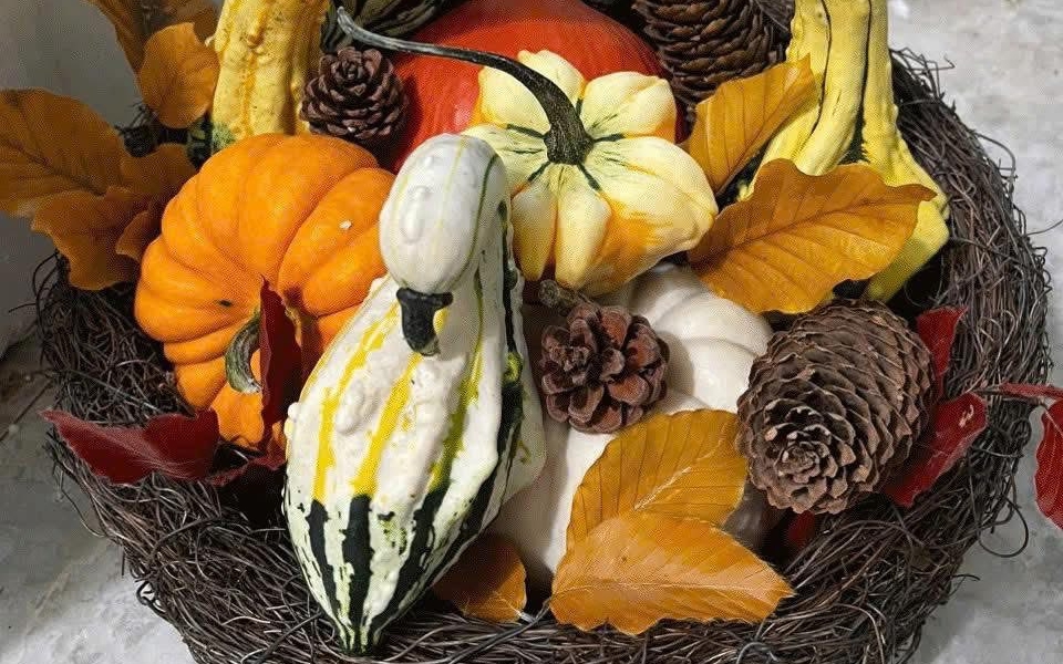 Nhiều người chi tiền triệu săn bí ngô "độc lạ" về chơi Halloween