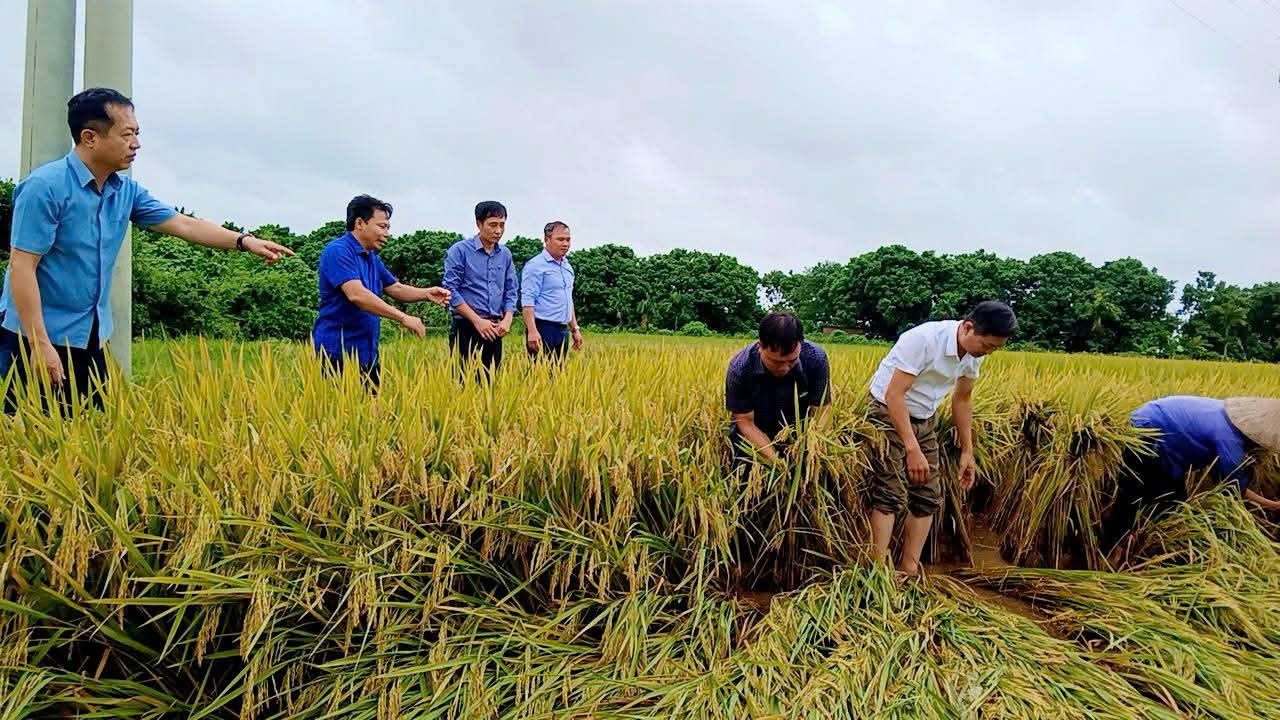 Lốc xoáy ở Hải Phòng, nhiều người bị thương, hàng trăm ngôi nhà, công trình bị tốc mái- Ảnh 5.