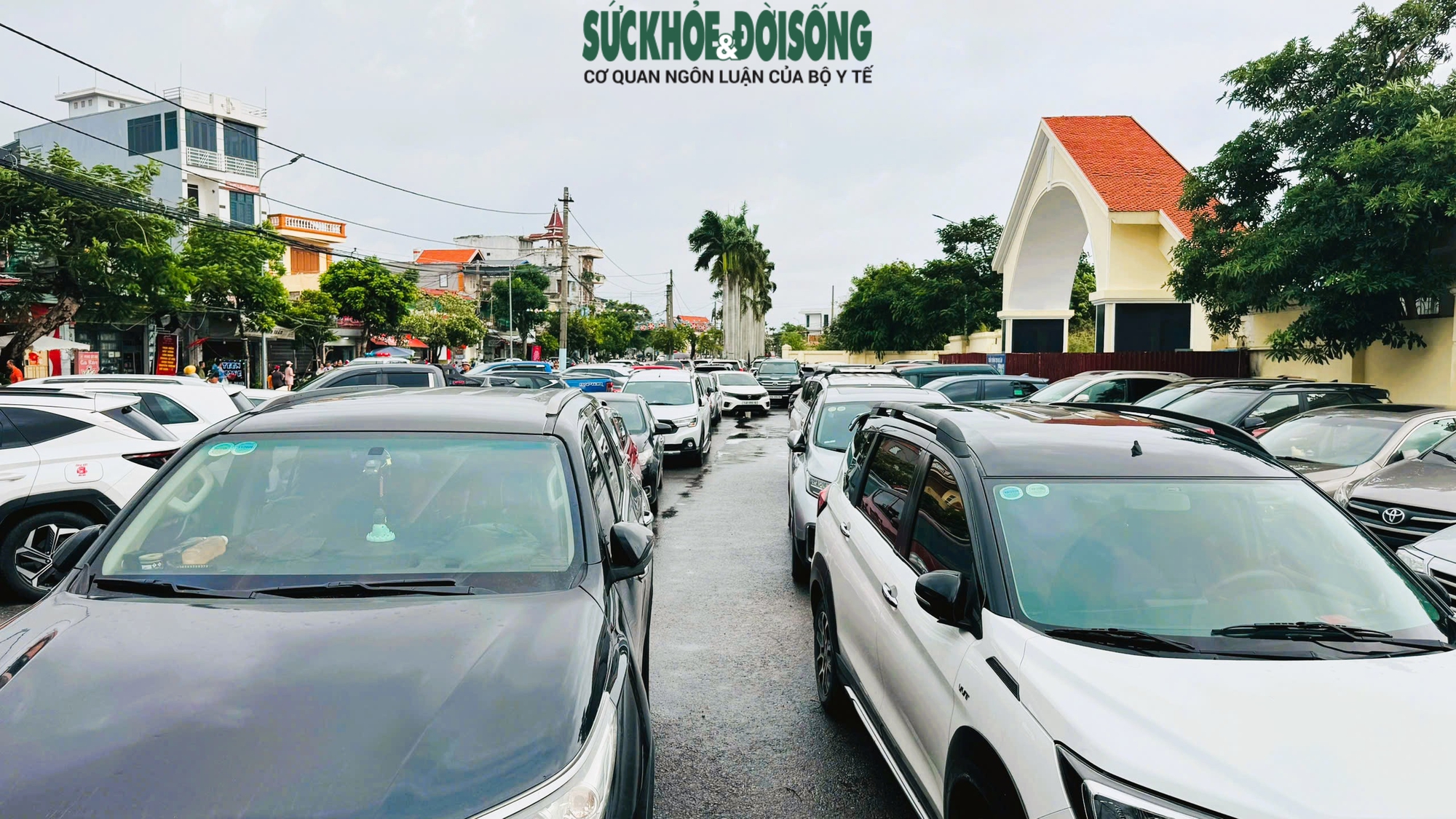 Giải mã sức hút Lễ hội chọi trâu Đồ Sơn - di sản văn hóa biển độc đáo- Ảnh 5. Giải mã sức hút Lễ hội chọi trâu Đồ Sơn - di sản văn hóa biển độc đáo- Ảnh 5.