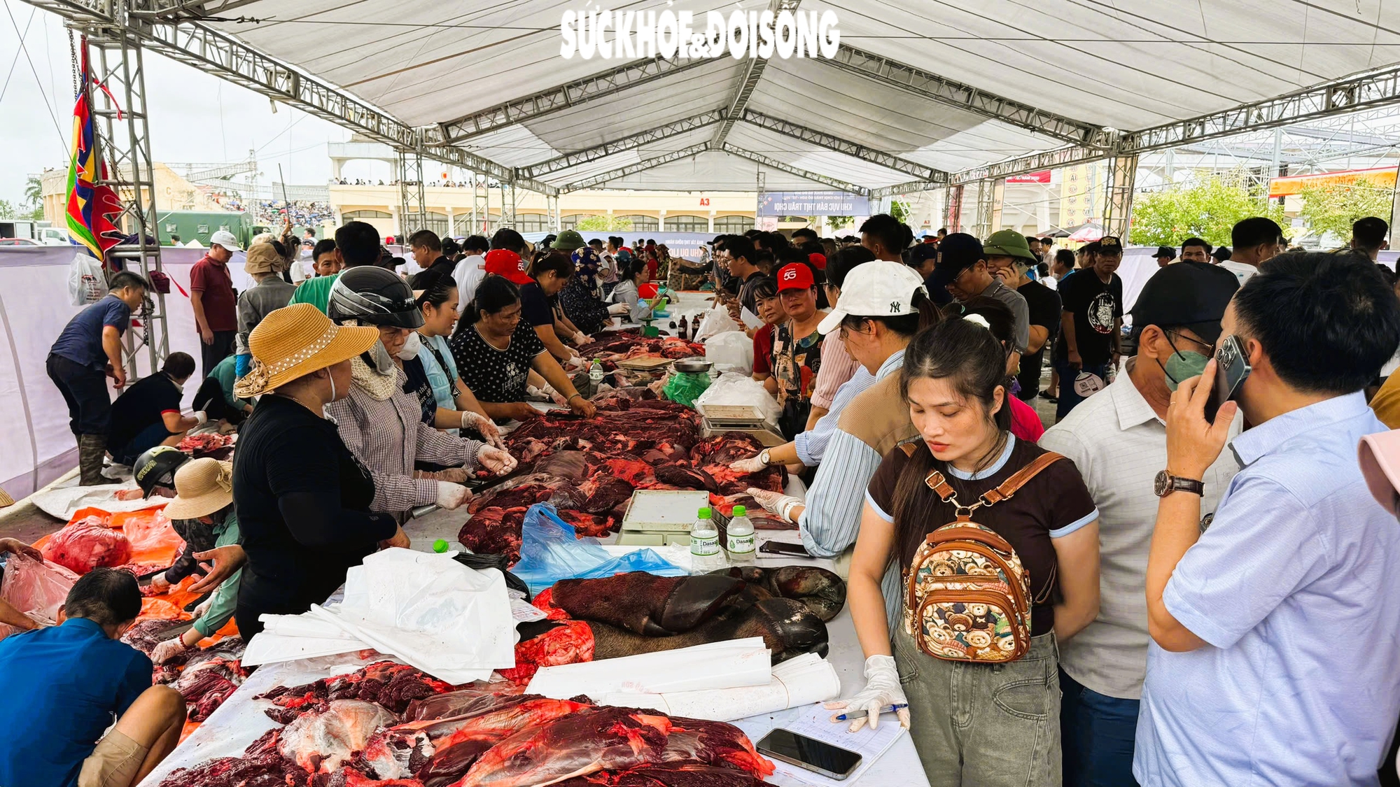 Giải mã sức hút Lễ hội chọi trâu Đồ Sơn - di sản văn hóa biển độc đáo- Ảnh 18. Giải mã sức hút Lễ hội chọi trâu Đồ Sơn - di sản văn hóa biển độc đáo- Ảnh 18.