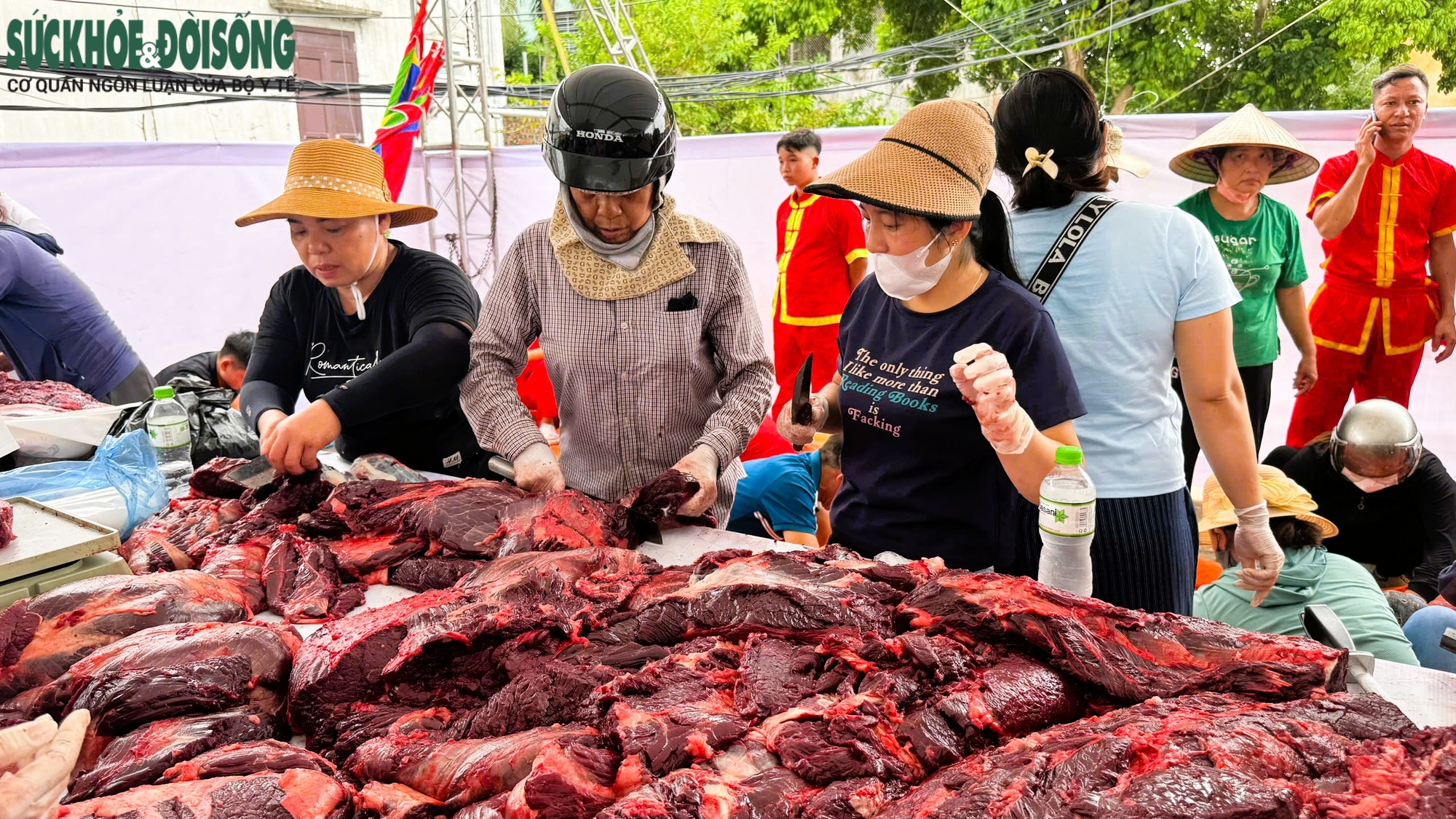 Giải mã sức hút Lễ hội chọi trâu Đồ Sơn - di sản văn hóa biển độc đáo- Ảnh 20. Giải mã sức hút Lễ hội chọi trâu Đồ Sơn - di sản văn hóa biển độc đáo- Ảnh 20.