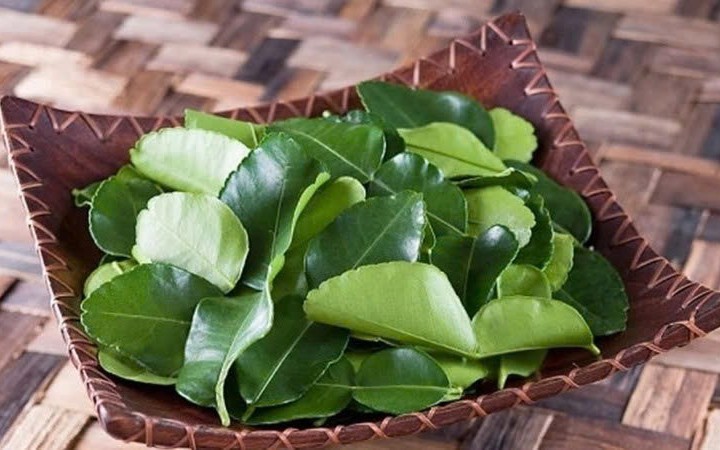 Làm đẹp tóc bằng một loại lá có sẵn trong vườn nhà