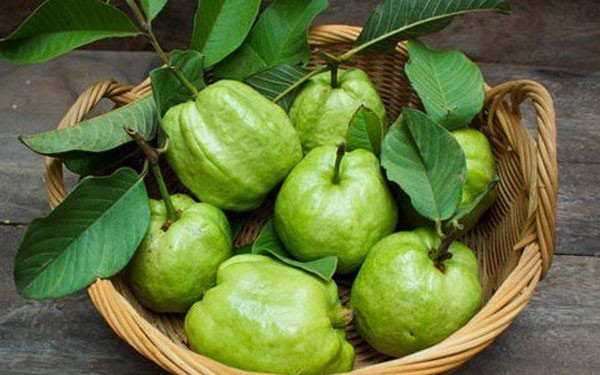 9 lợi ích sức khỏe của quả ổi