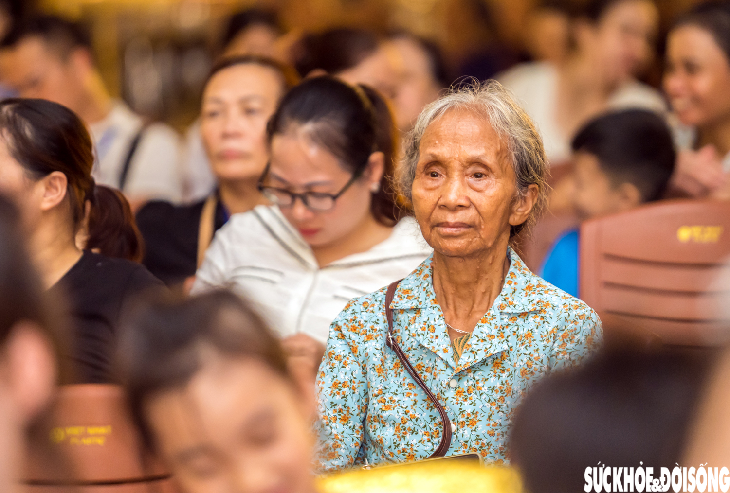 Biển người nghẹn ngào trong nghi thức 'Bông hồng cài áo' ngày lễ Vu Lan báo hiếu- Ảnh 4. Biển người nghẹn ngào trong nghi thức 'Bông hồng cài áo' ngày lễ Vu Lan báo hiếu- Ảnh 4.