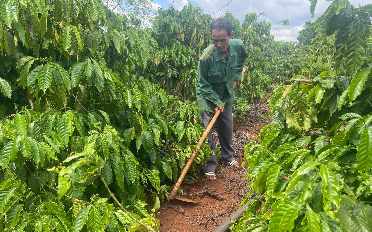 Lâm Đồng hoàn thành 100% kế hoạch xóa nhà tạm, nhà dột nát- Ảnh 3.