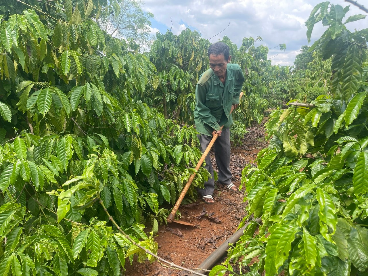 Đa dạng sinh kế cho hộ nghèo ở Lâm Đồng vươn lên thoát nghèo bền vững- Ảnh 1.