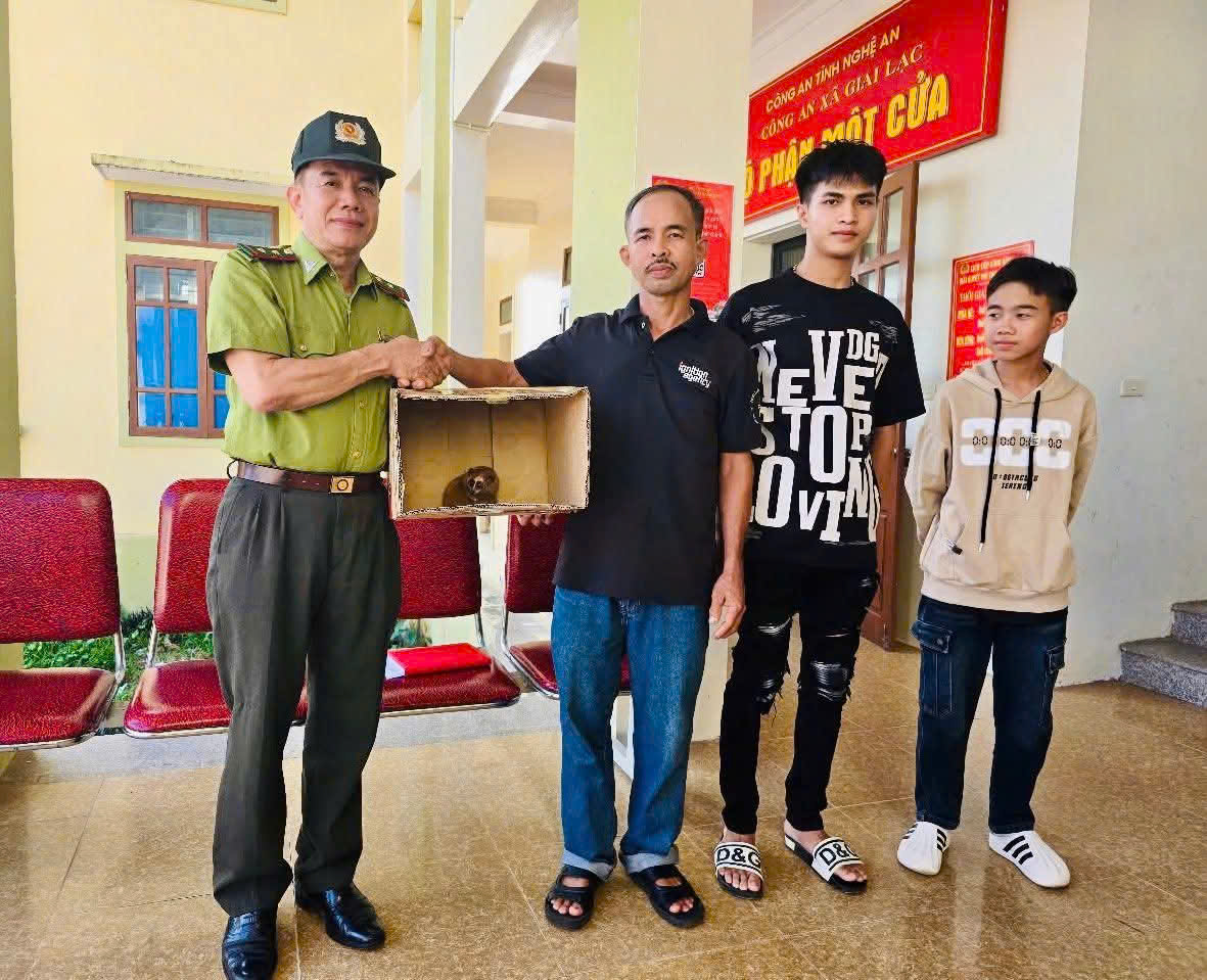 Người dân Nghệ An phát hiện cu li quý hiếm tại vườn nhà- Ảnh 1.