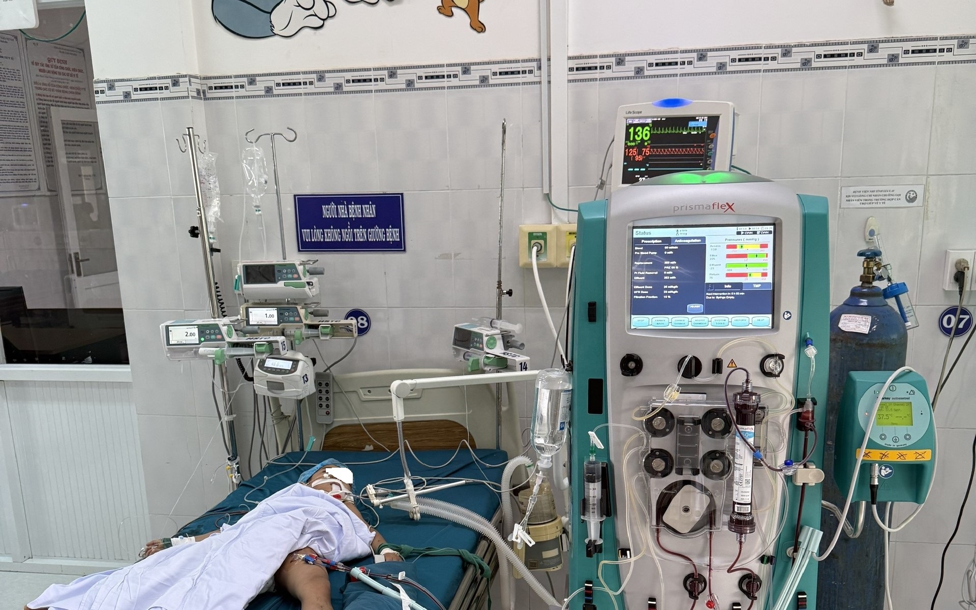 3 trẻ bị ong đốt, 1 cháu tử vong