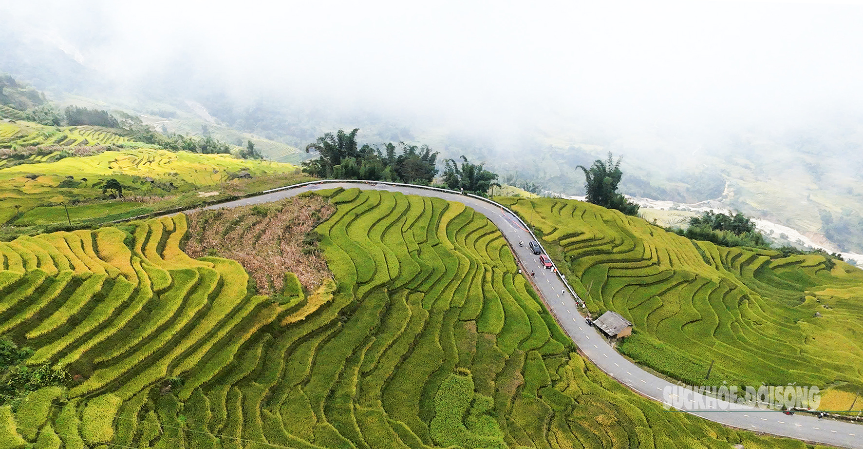Mùa vàng Y Tý - Tuyệt tác thiên nhiên giữa đại ngàn Tây Bắc- Ảnh 4. Mùa vàng Y Tý - Tuyệt tác thiên nhiên giữa đại ngàn Tây Bắc- Ảnh 4.