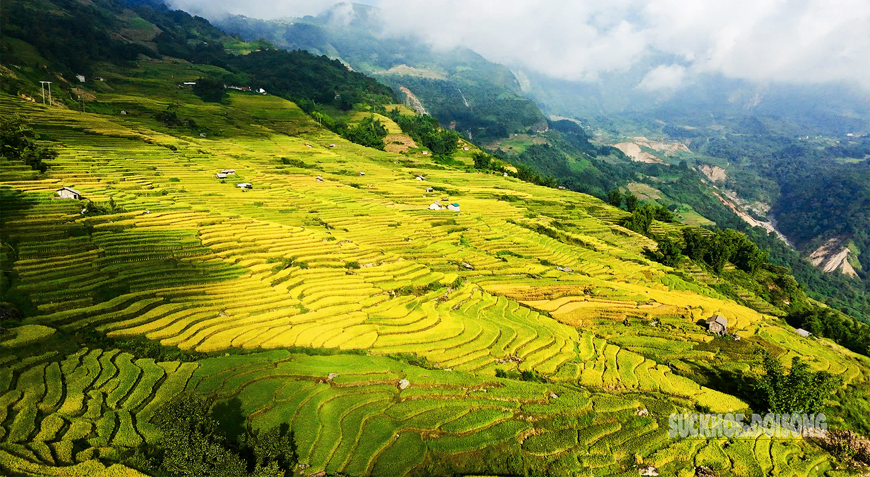 Mùa vàng Y Tý - Tuyệt tác thiên nhiên giữa đại ngàn Tây Bắc- Ảnh 1. Mùa vàng Y Tý - Tuyệt tác thiên nhiên giữa đại ngàn Tây Bắc- Ảnh 1.