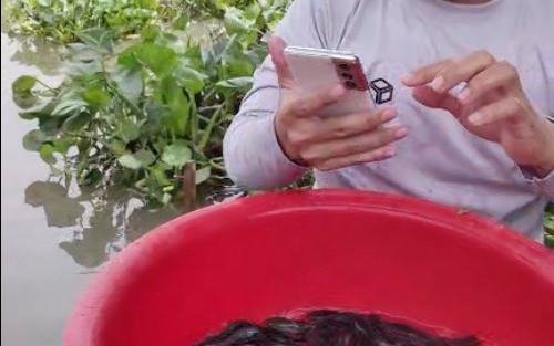 TPHCM xử lý hàng loạt thanh niên gây rối, cướp tài sản khi 'giật cô hồn' dịp rằm tháng 7- Ảnh 5.