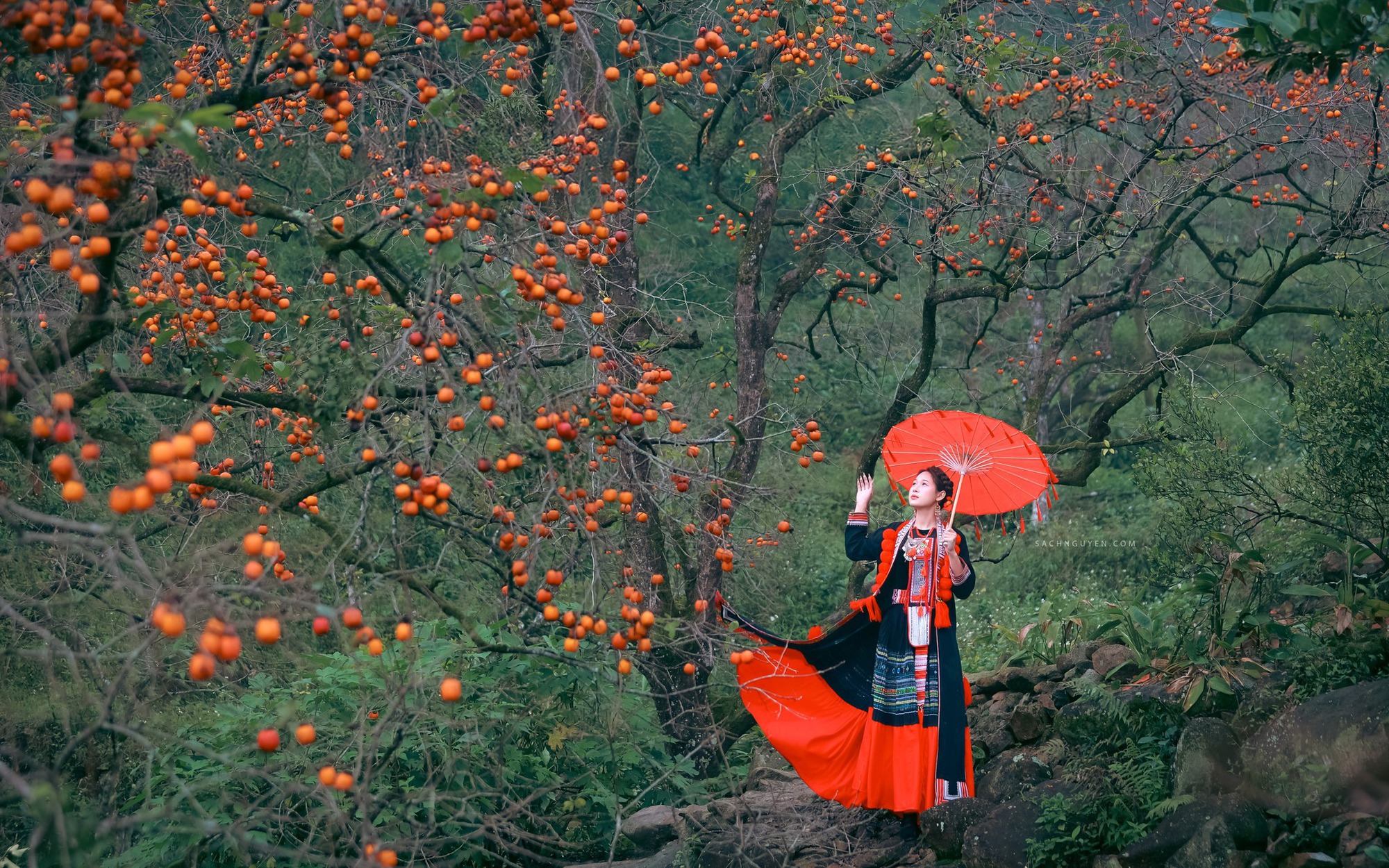 ‘Check-in', săn lùng đặc sản tại thủ phủ bưởi Diễn- Ảnh 10.