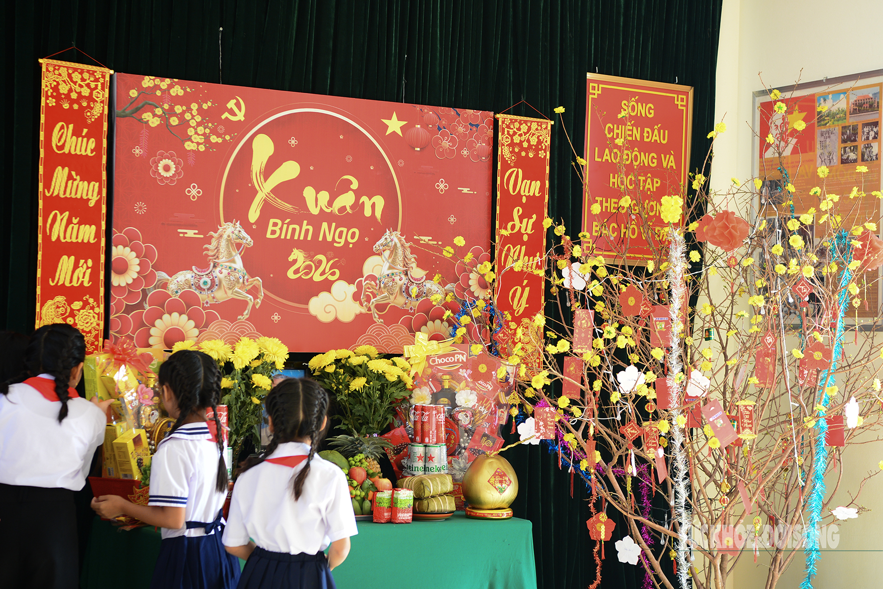 Mùa xuân đến với đảo tiền tiêu Thổ Chu- Ảnh 9.