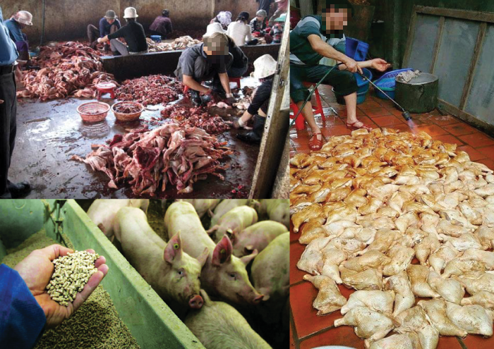 Những tác hại kinh hoàng với sức khoẻ khi dùng thực phẩm bẩn- Ảnh 1.