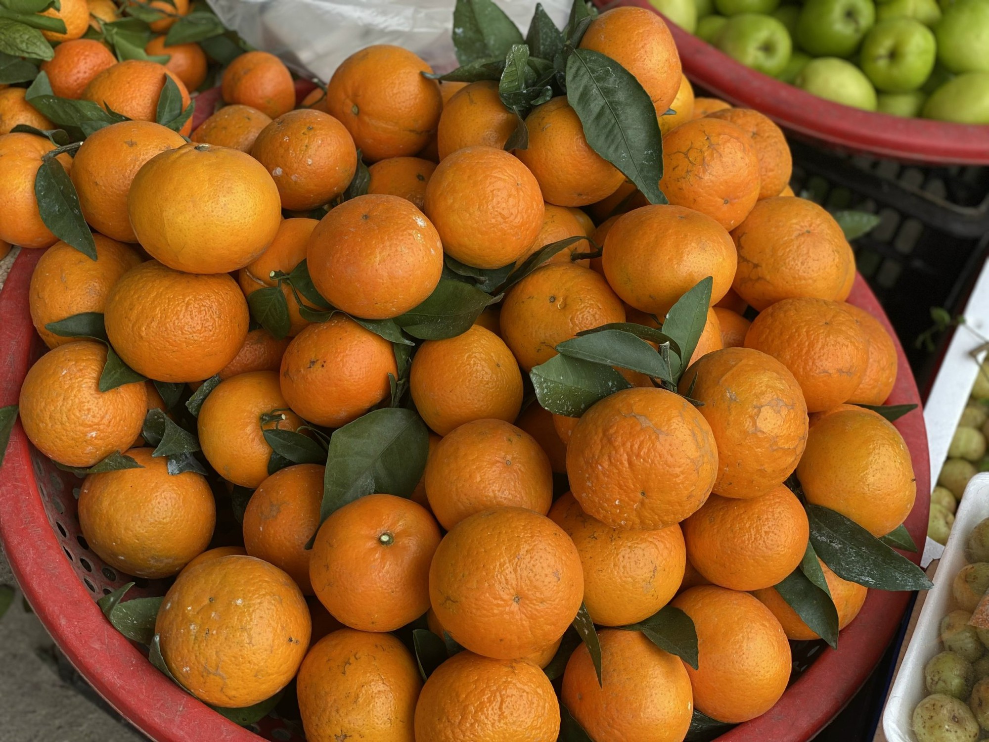 Tiểu thương “hé lộ” về nguồn gốc của một loại cam quen thuộc được người tiêu dùng Việt tiêu thụ mỗi ngày- Ảnh 2.