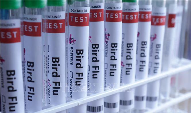 Australia cảnh báo chủng cúm mới lây lan mạnh- Ảnh 1. Australia cảnh báo chủng cúm mới lây lan mạnh- Ảnh 1.