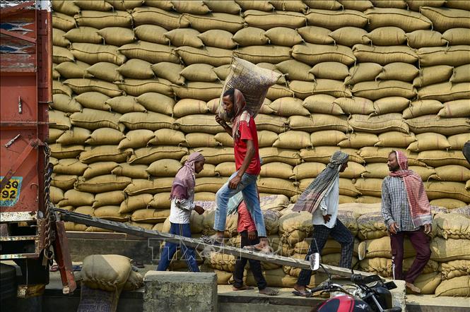 Thị trường nông sản: Giá gạo châu Á ảm đạm do nhu cầu yếu- Ảnh 1.