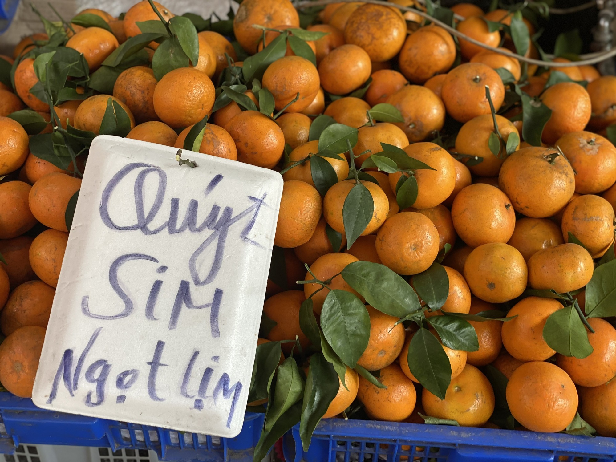 Quýt sim ngọt lịm giá rẻ đổ bộ chợ Việt, người tiêu dùng thi nhau đặt số lượng lớn về dùng dần- Ảnh 1.
